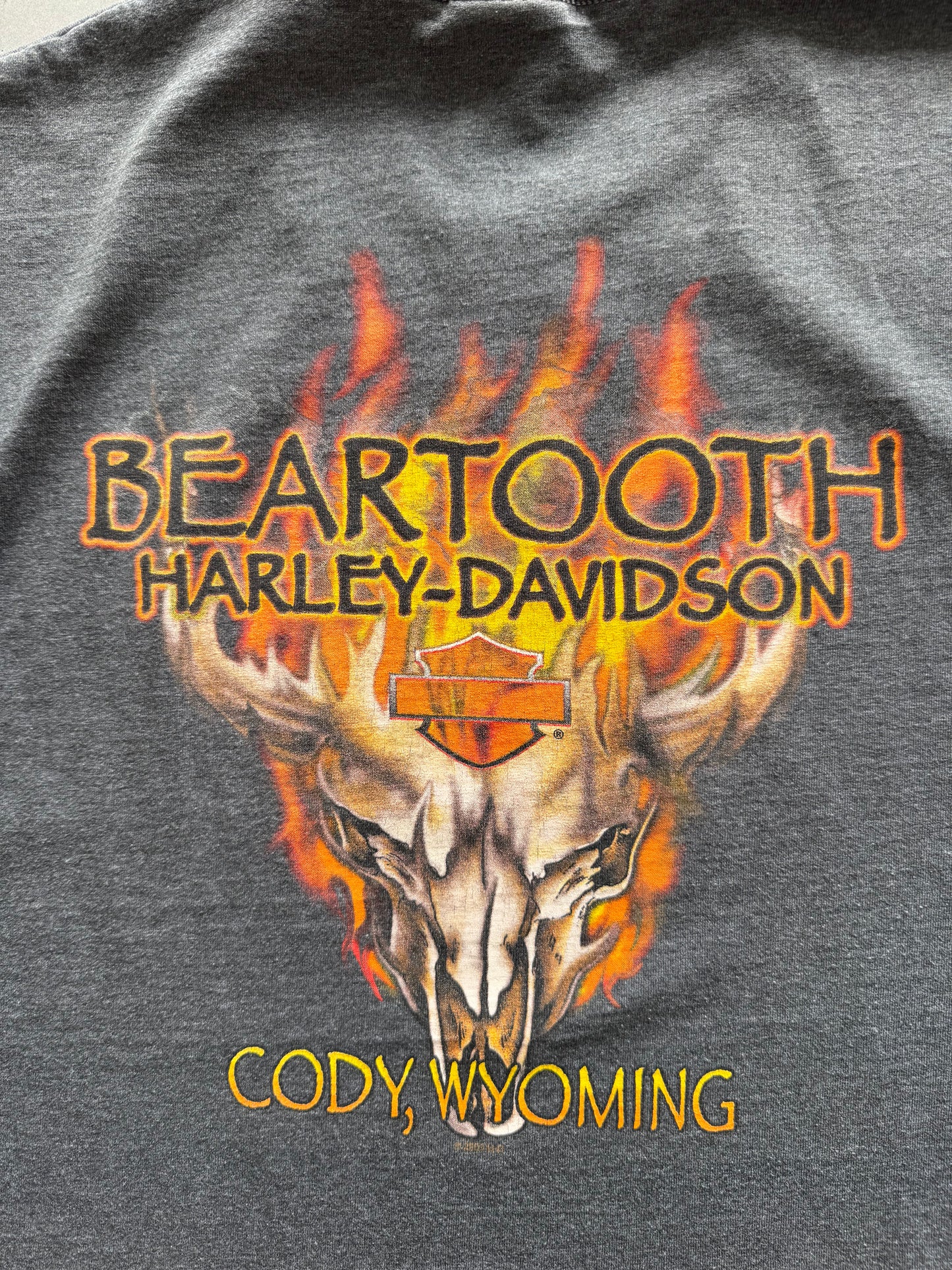 Harley Davidson 2009 Flame Cuttoff Tee - XL