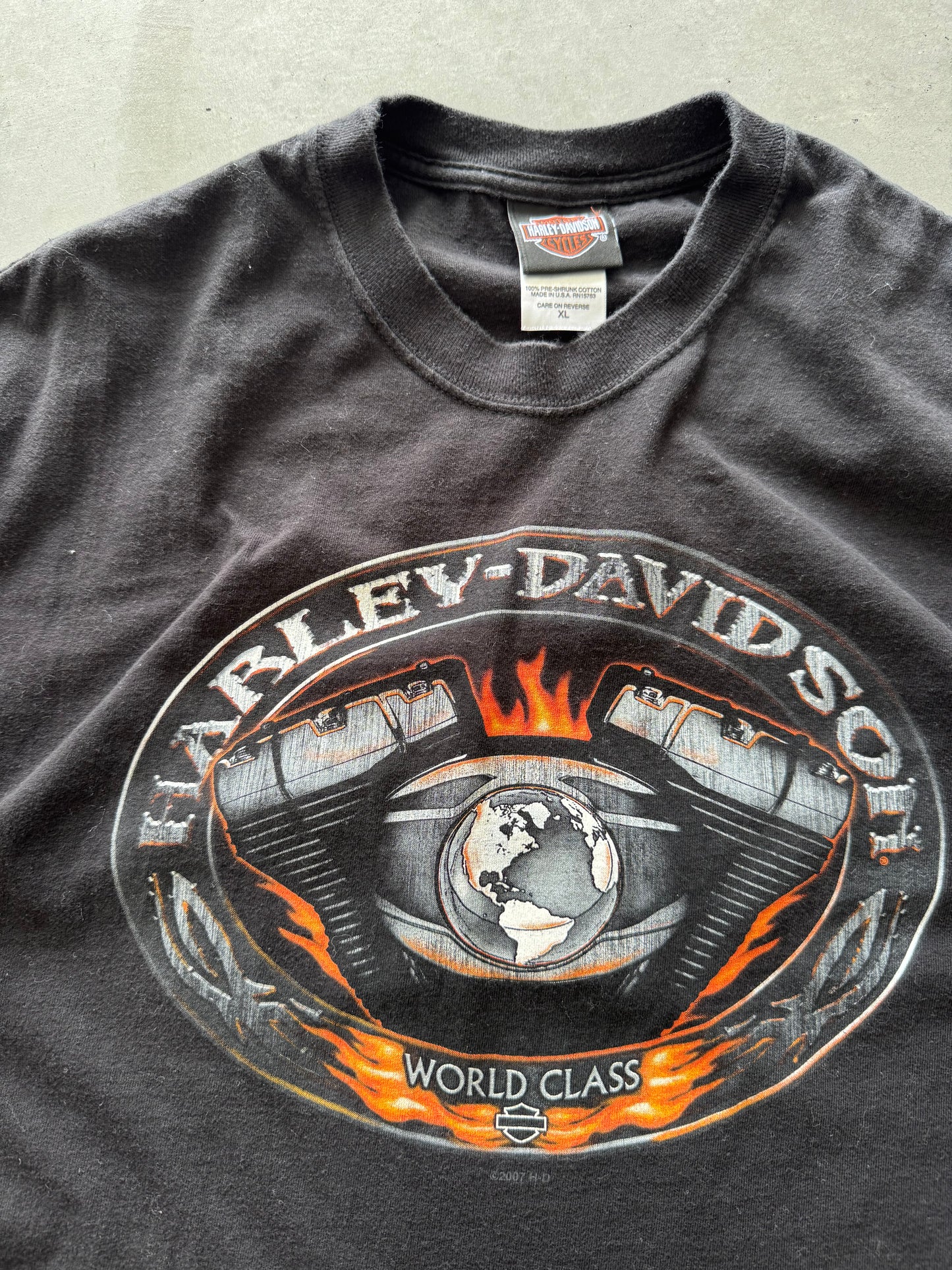 Harley Davidson Horny Toad Tee - XL