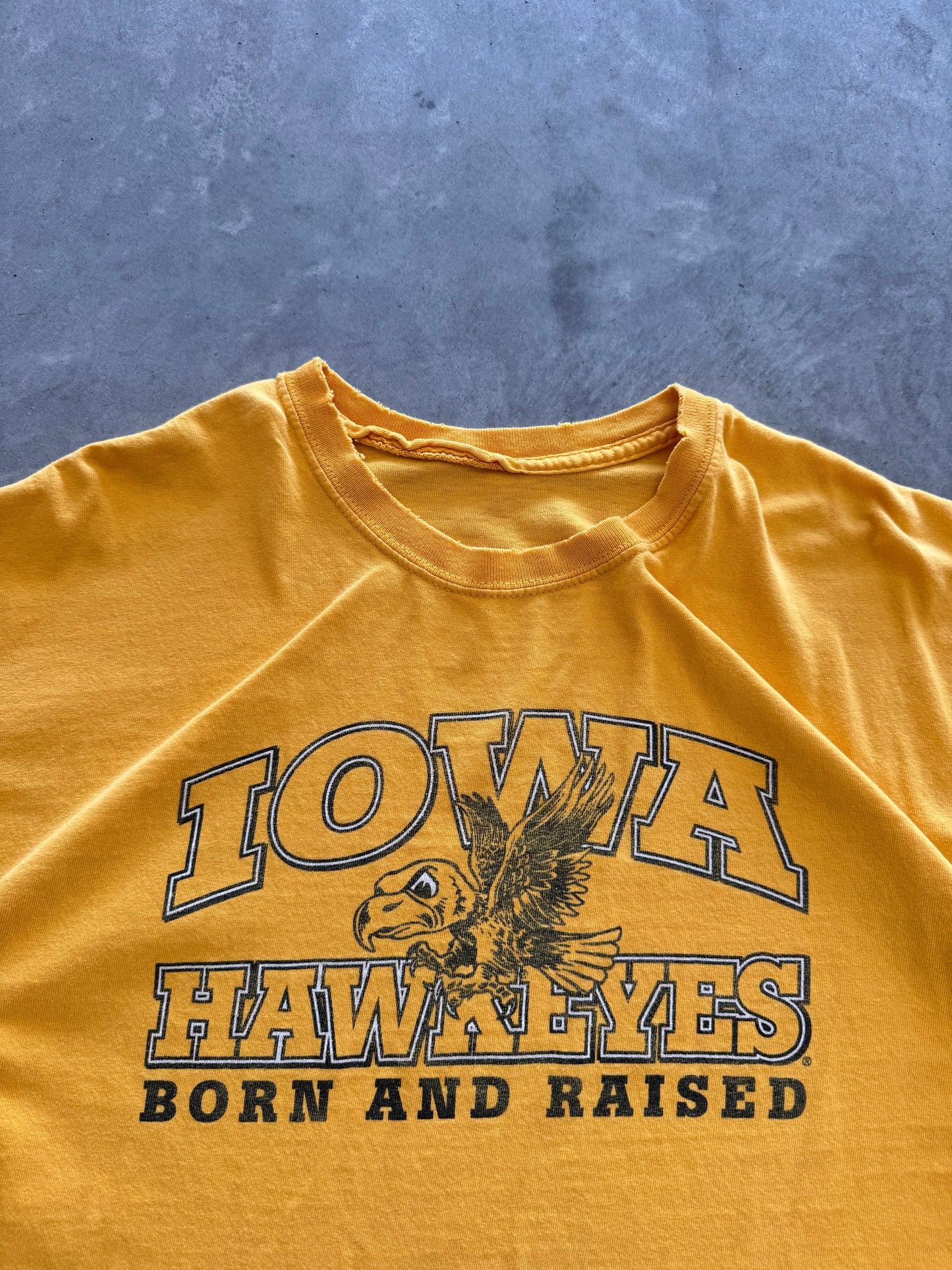 Vintage Iowa Hawkeye Tee - L