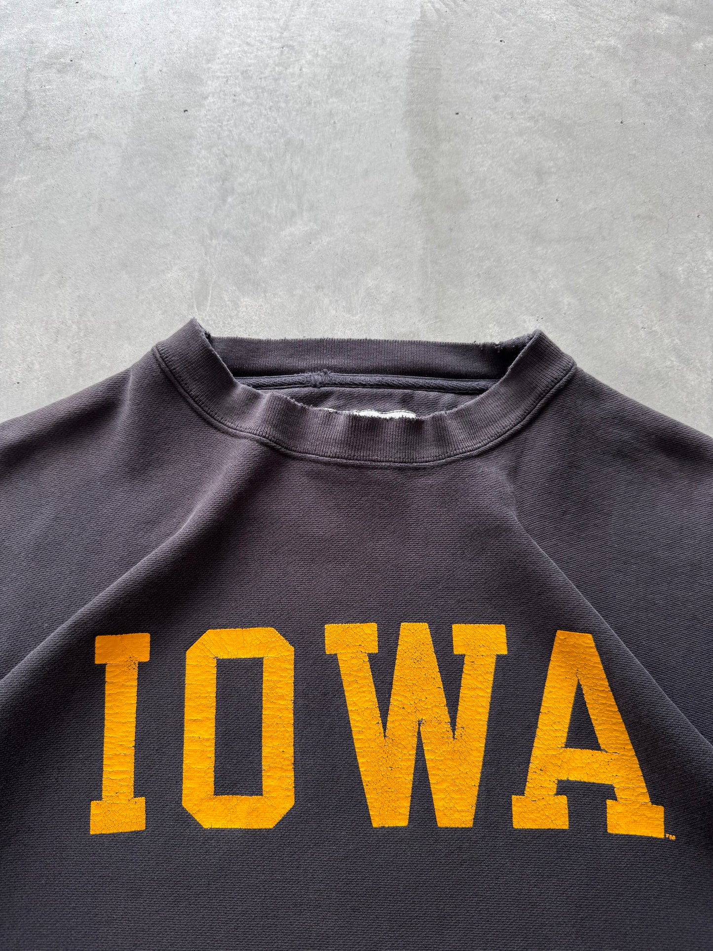 Vintage 90s Champion Iowa Hawkeyes Sweatshirt - XL