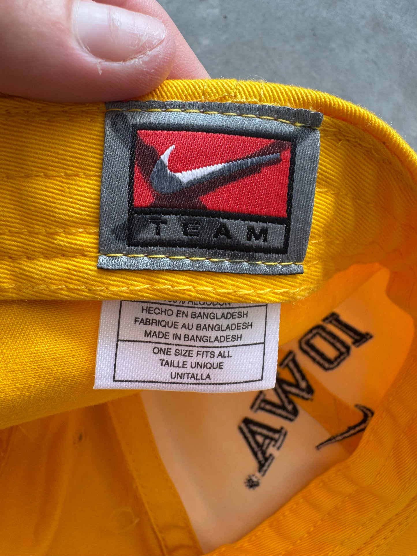 Vintage 90s Nike Iowa Hawkeyes Hat
