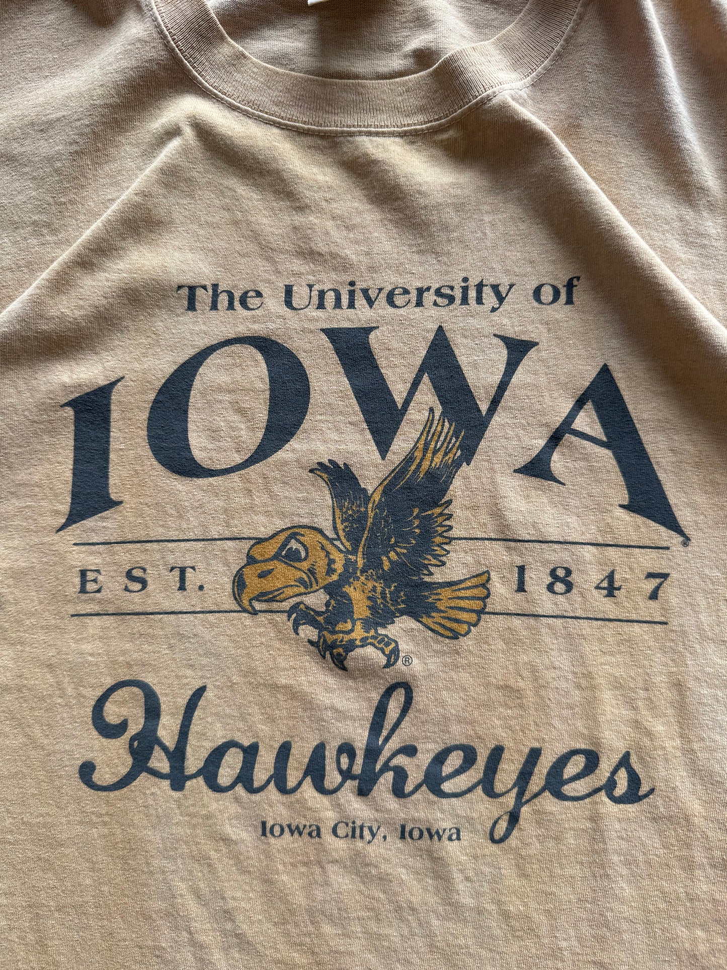 Vintage Iowa Hawkeyes Tee - L