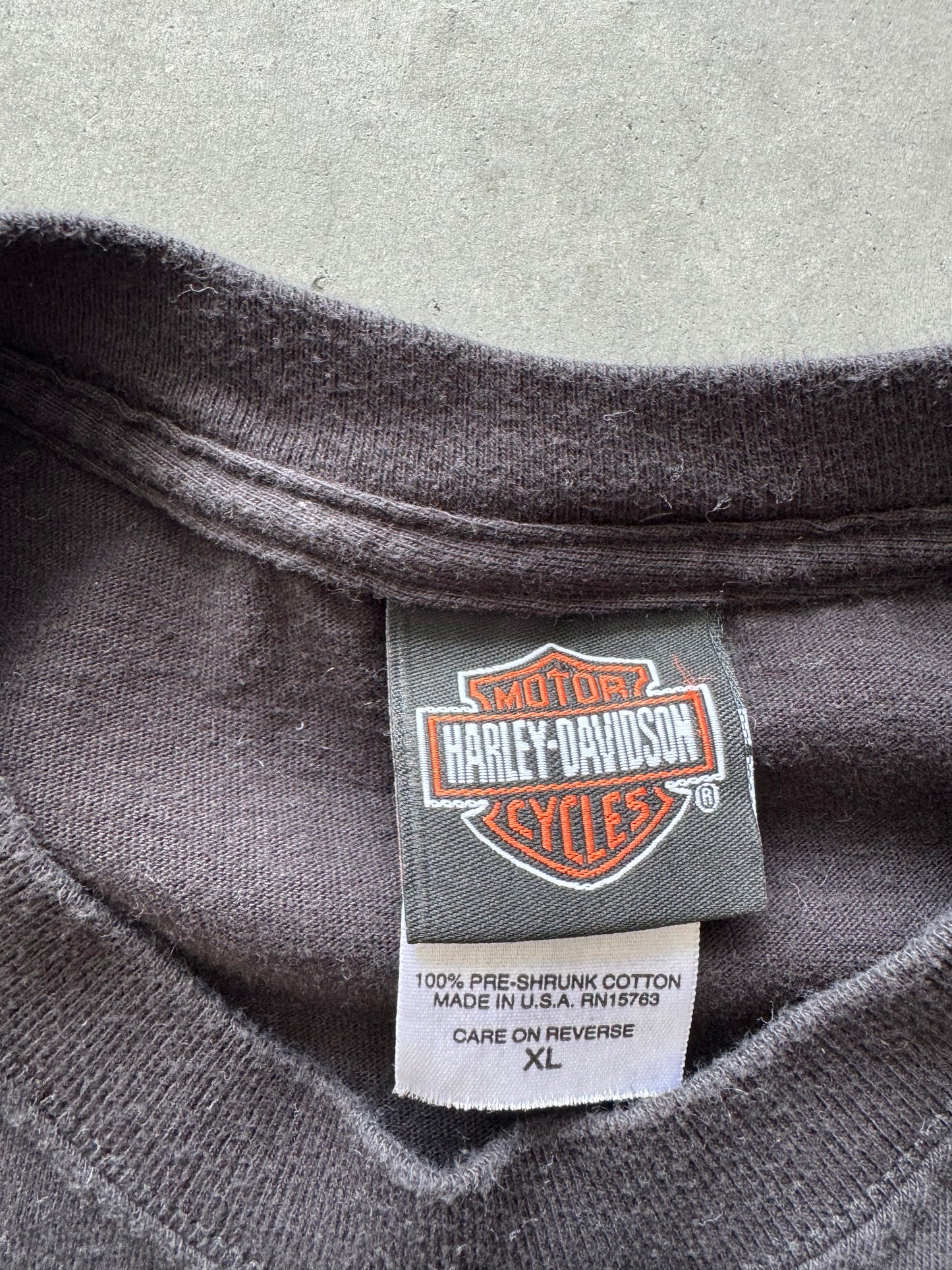 Harley Davidson Horny Toad Tee - XL