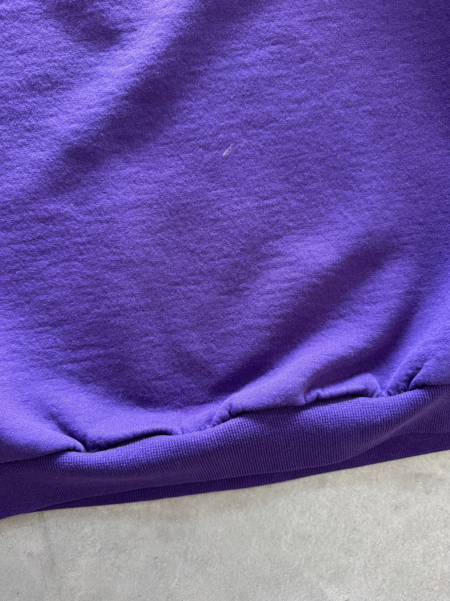 Vintage Northern Iowa Panthers Sweatshirt - L