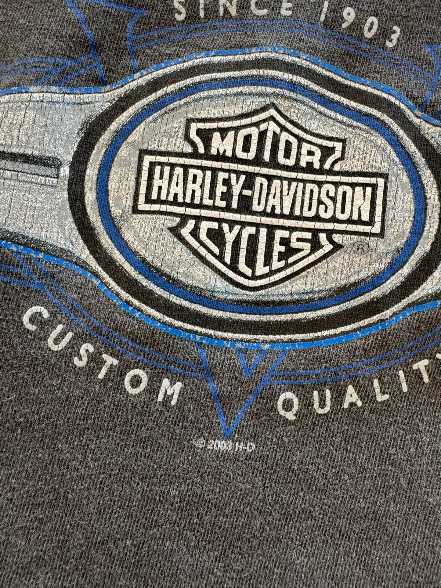 Vintage 2003 Harley Davidson Tee - XL