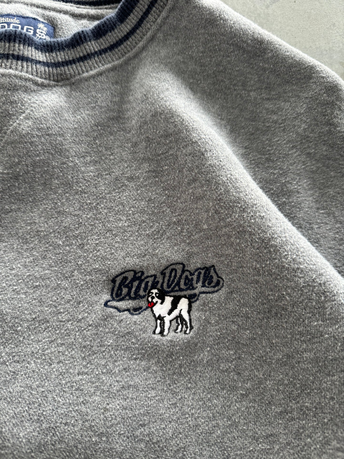 Vintage 90s Big Dogs Sweatshirt - L