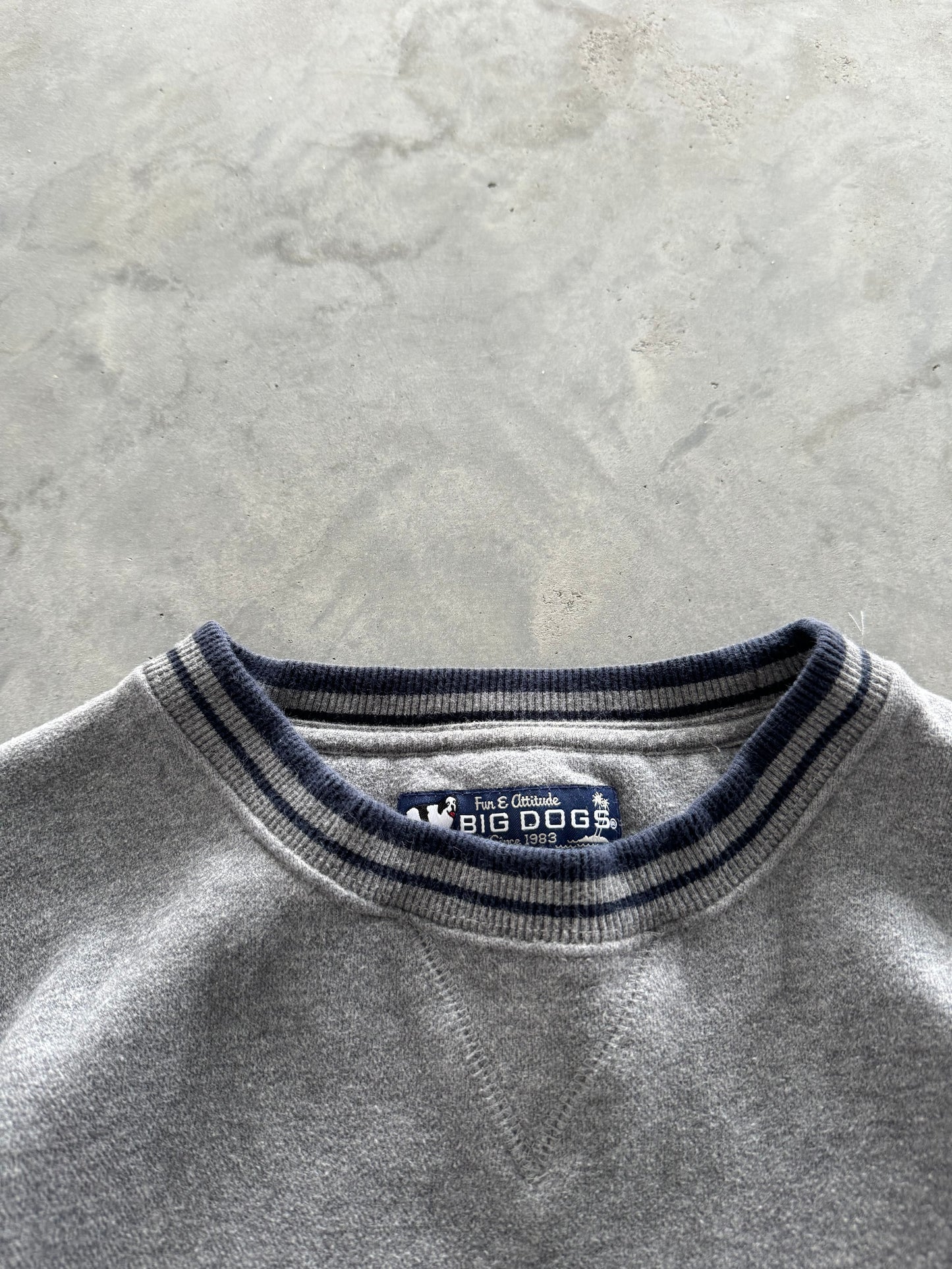 Vintage 90s Big Dogs Sweatshirt - L