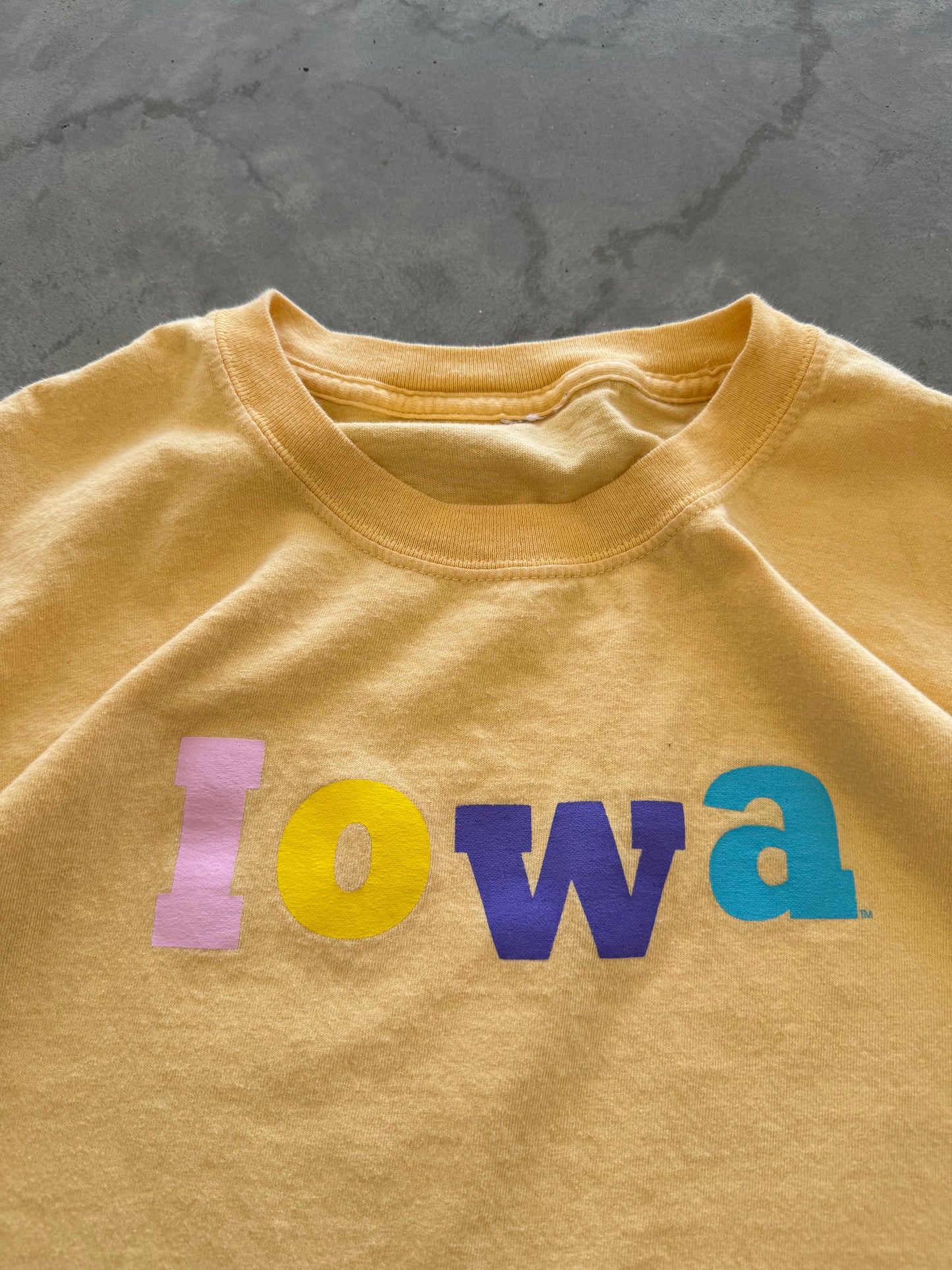 Vintage Iowa Tee - XXL