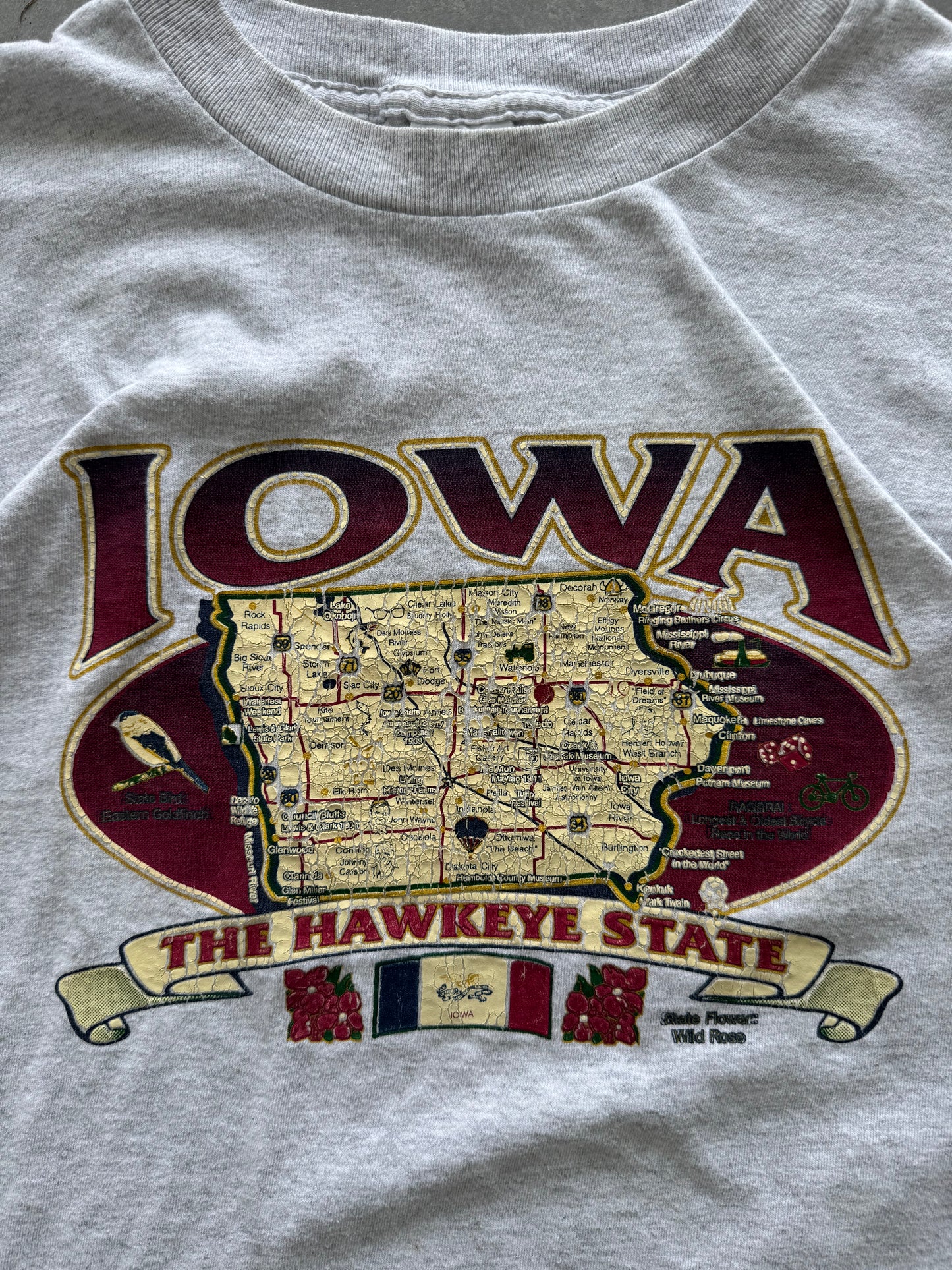 Vintage Iowa Tee - XL