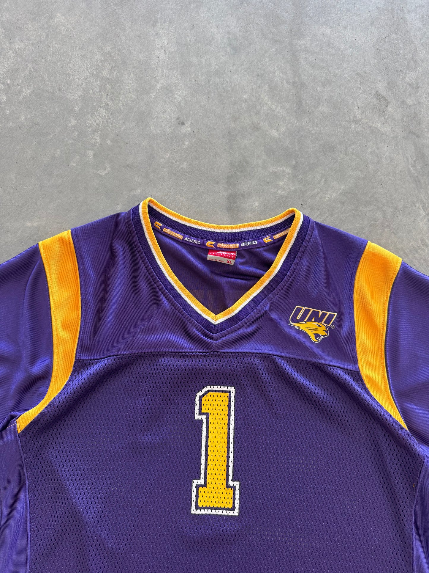 Vintage UNI Panthers Women’s Jersey - XL