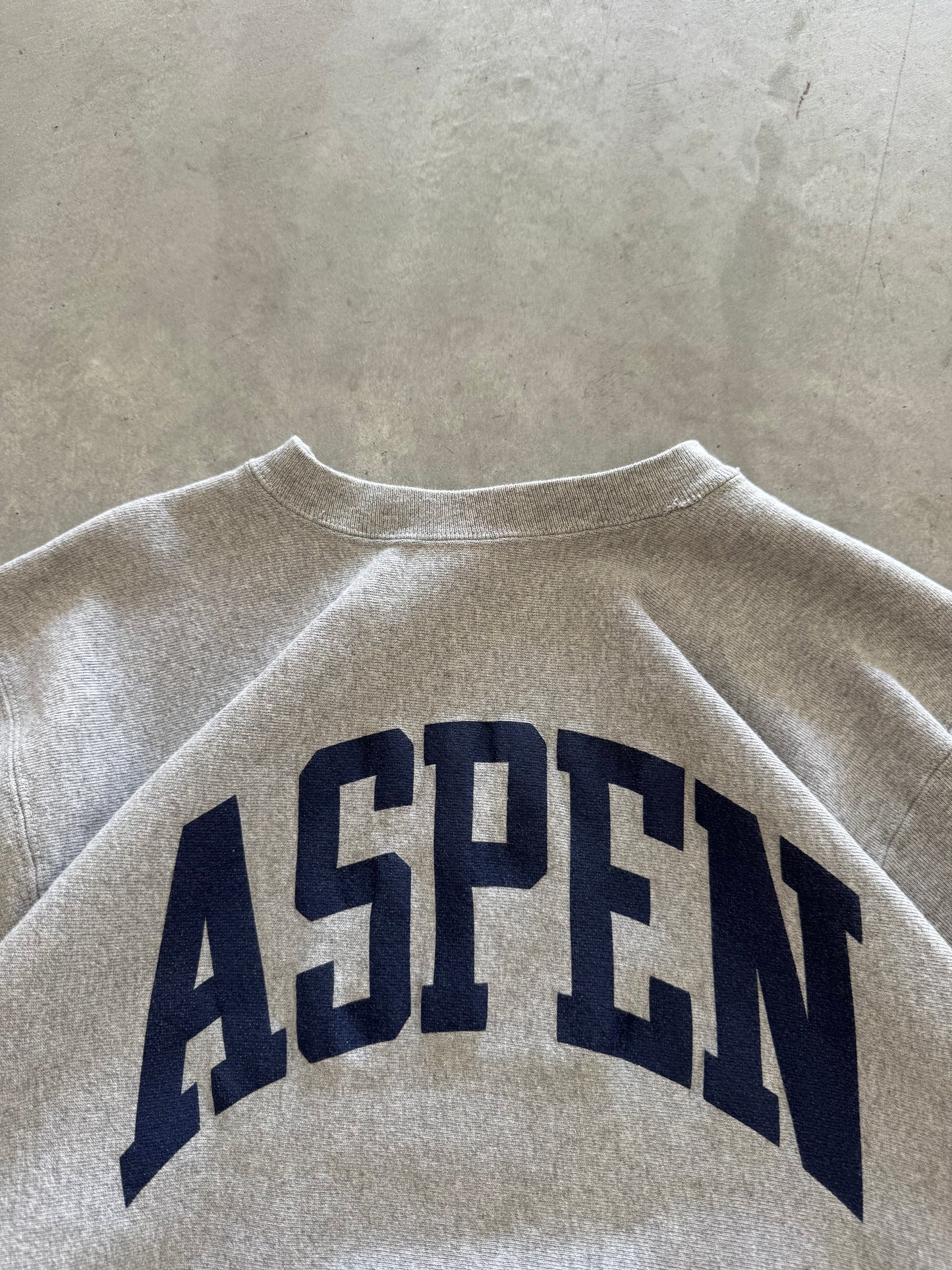 Vintage 80s Champion Aspen Sweatshirt - L