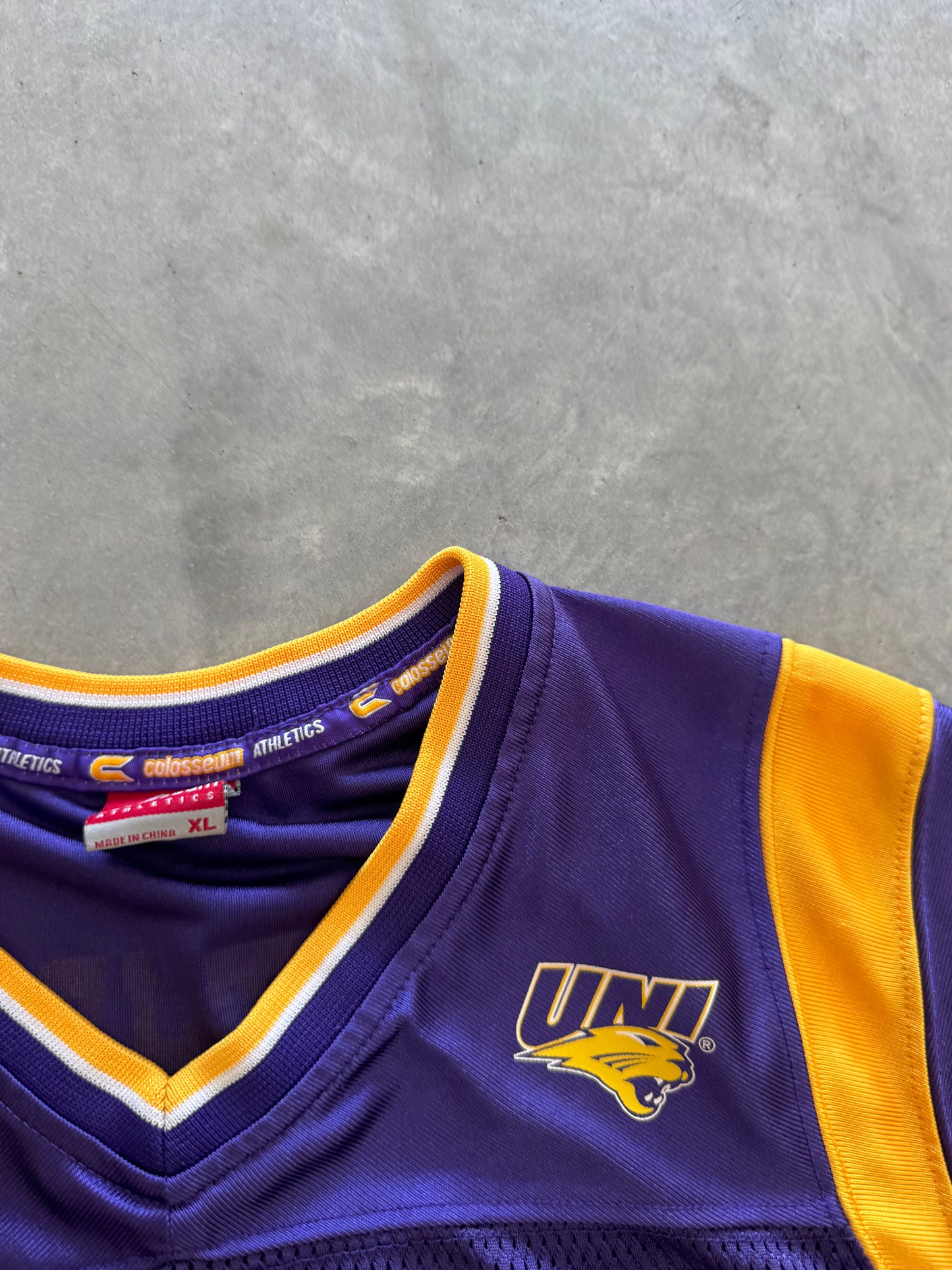 Vintage UNI Panthers Women’s Jersey - XL