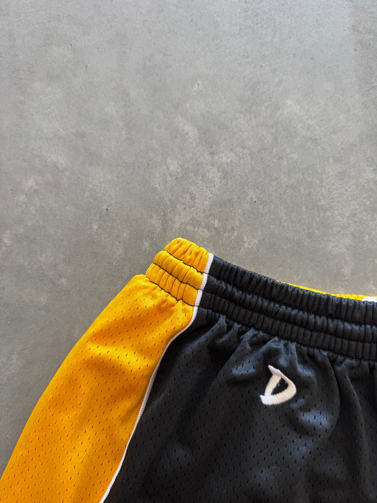Vintage Iowa Hawkeyes Women’s Shorts - L