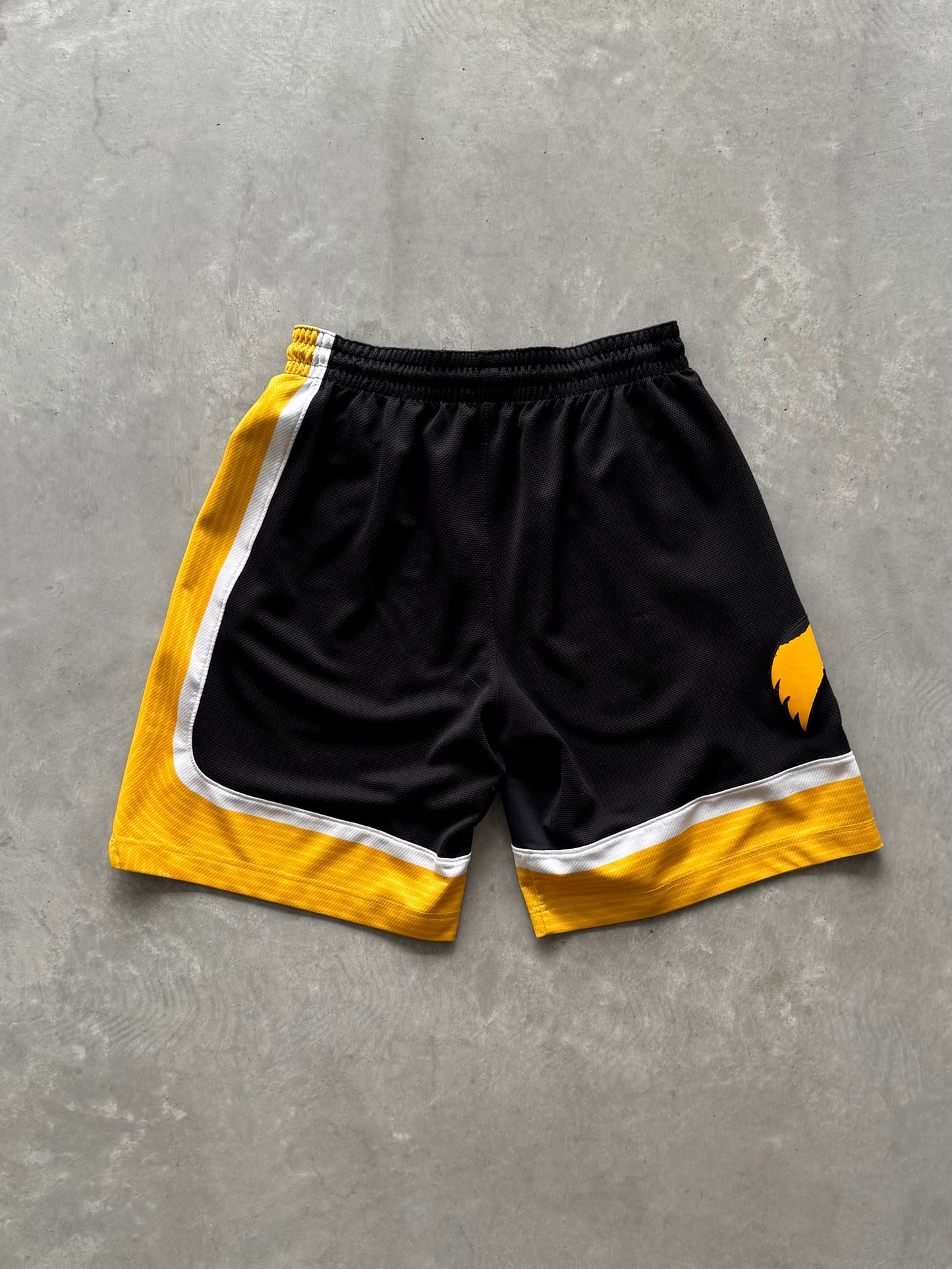Iowa Hawkeyes Nike Shorts - XL