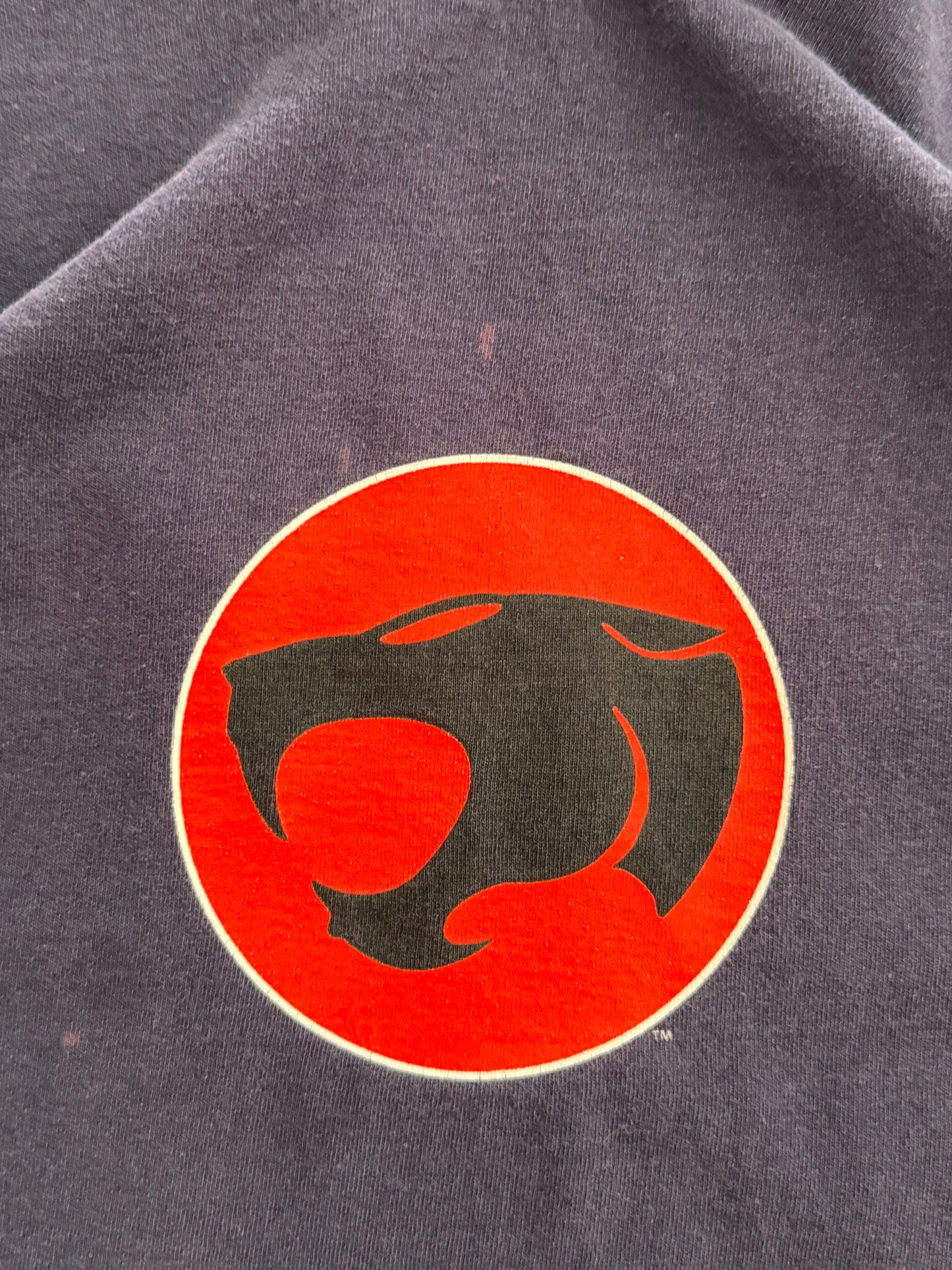 Vintage 90s Thundercats Long Sleeve - L