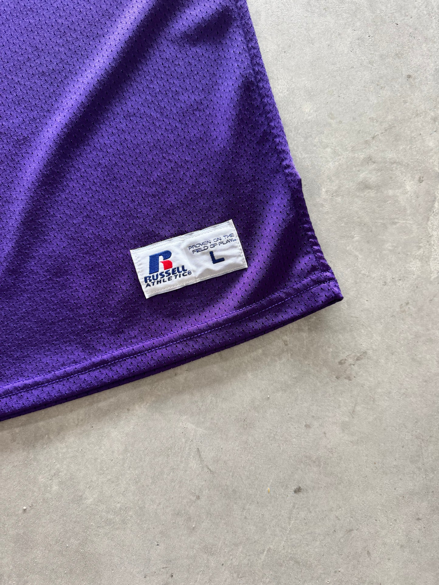 Vintage UNI Panthers Russell Jersey - L