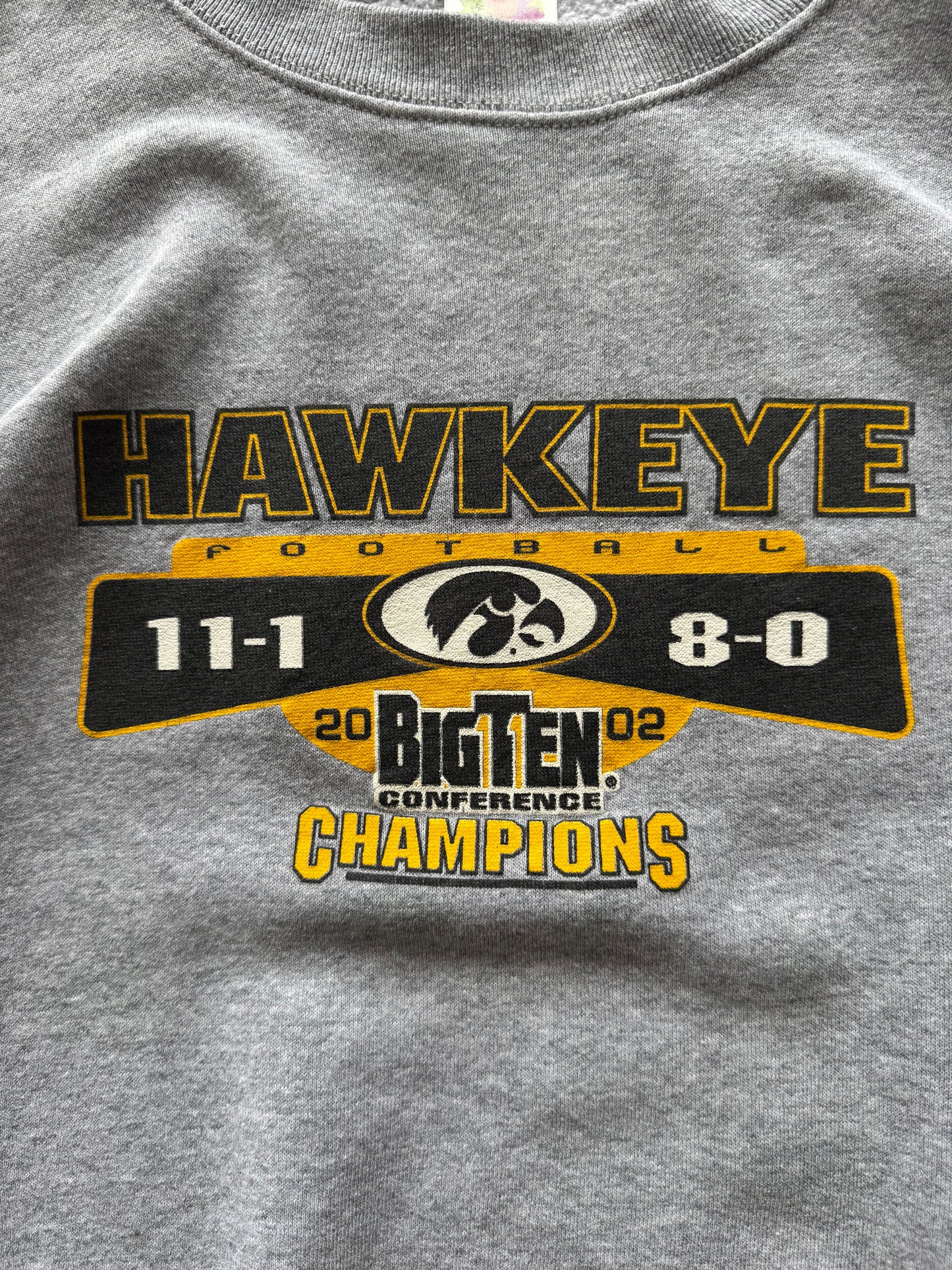 Vintage 00s Iowa Hawkeyes Big Ten Champions Sweatshirt - XXL