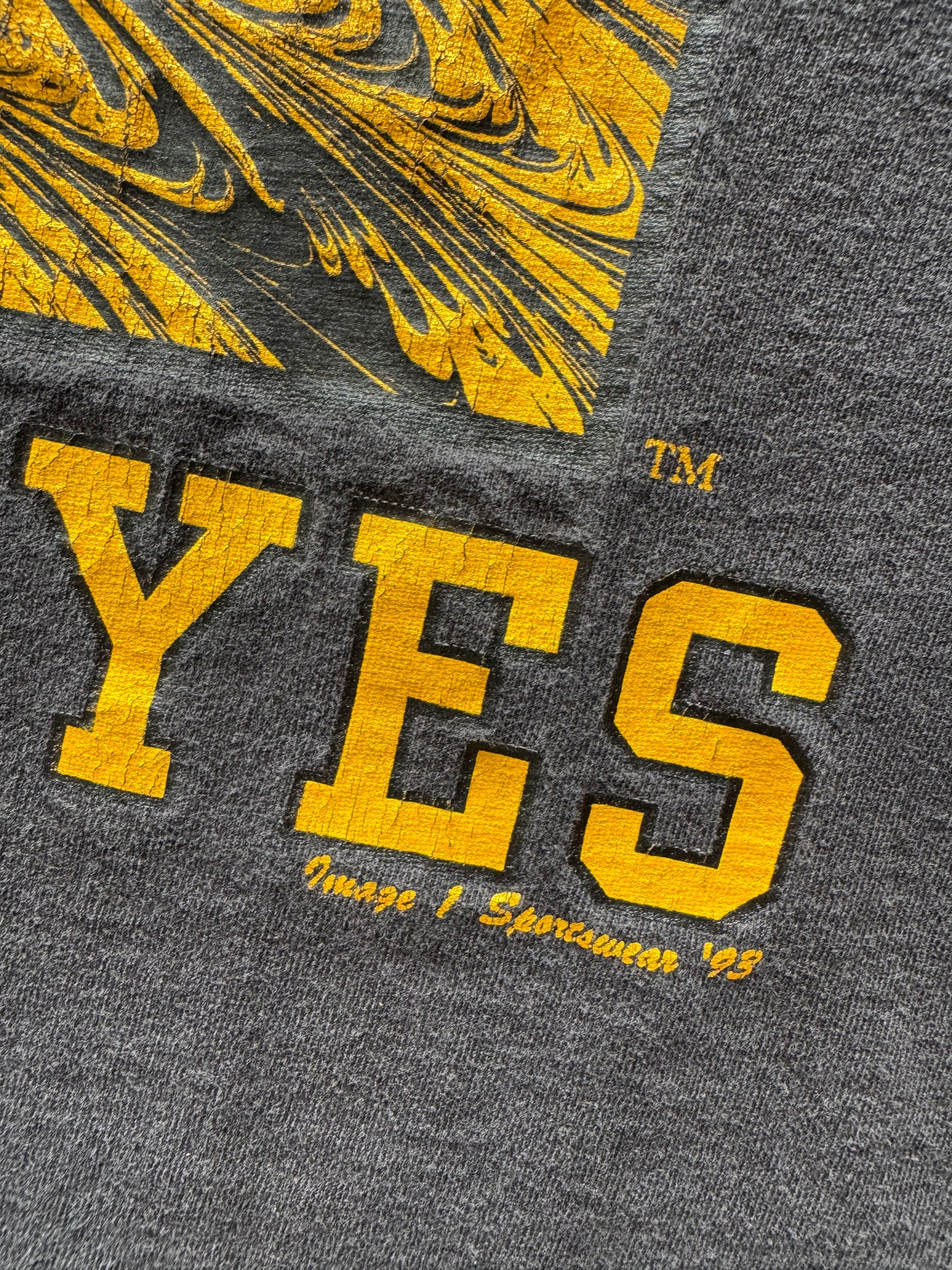 Vintage 1993 Iowa Hawkeyes Tee - L