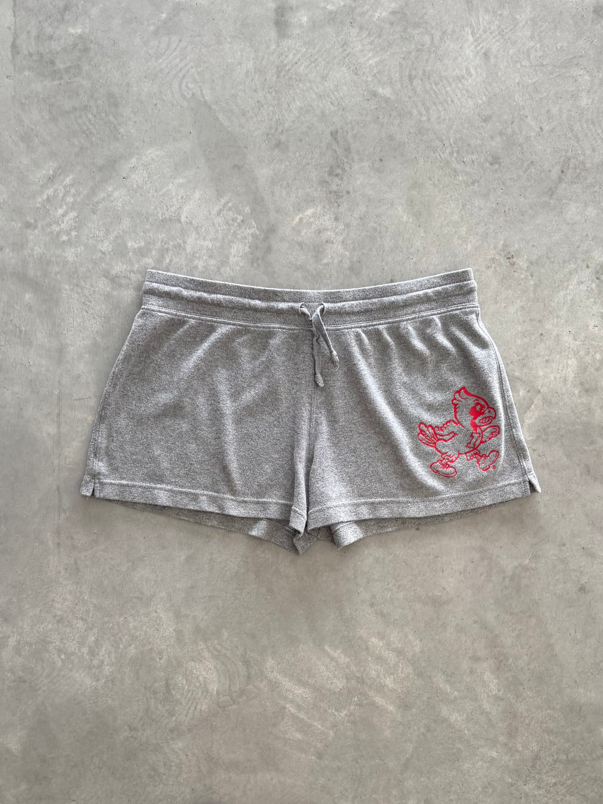 Vintage Iowa State Cyclones Women’s Shorts - XL