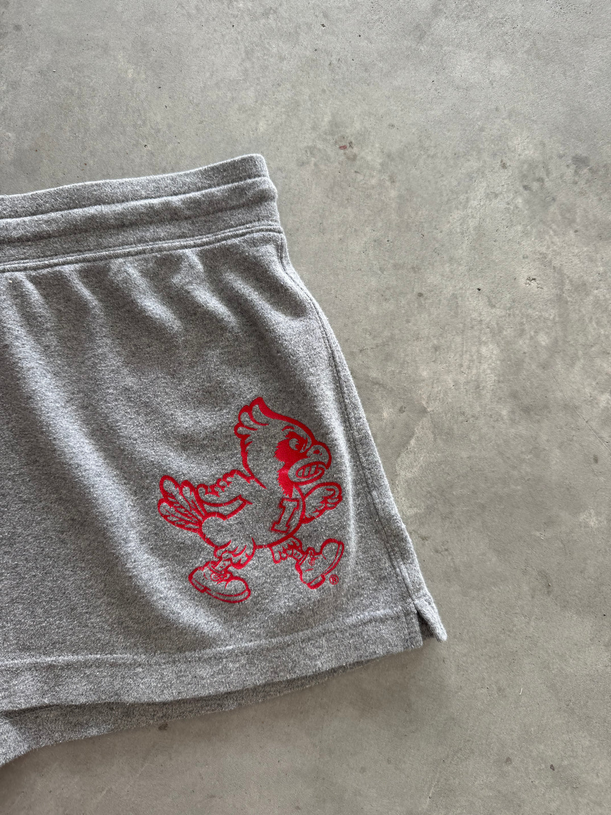 Vintage Iowa State Cyclones Women’s Shorts - XL