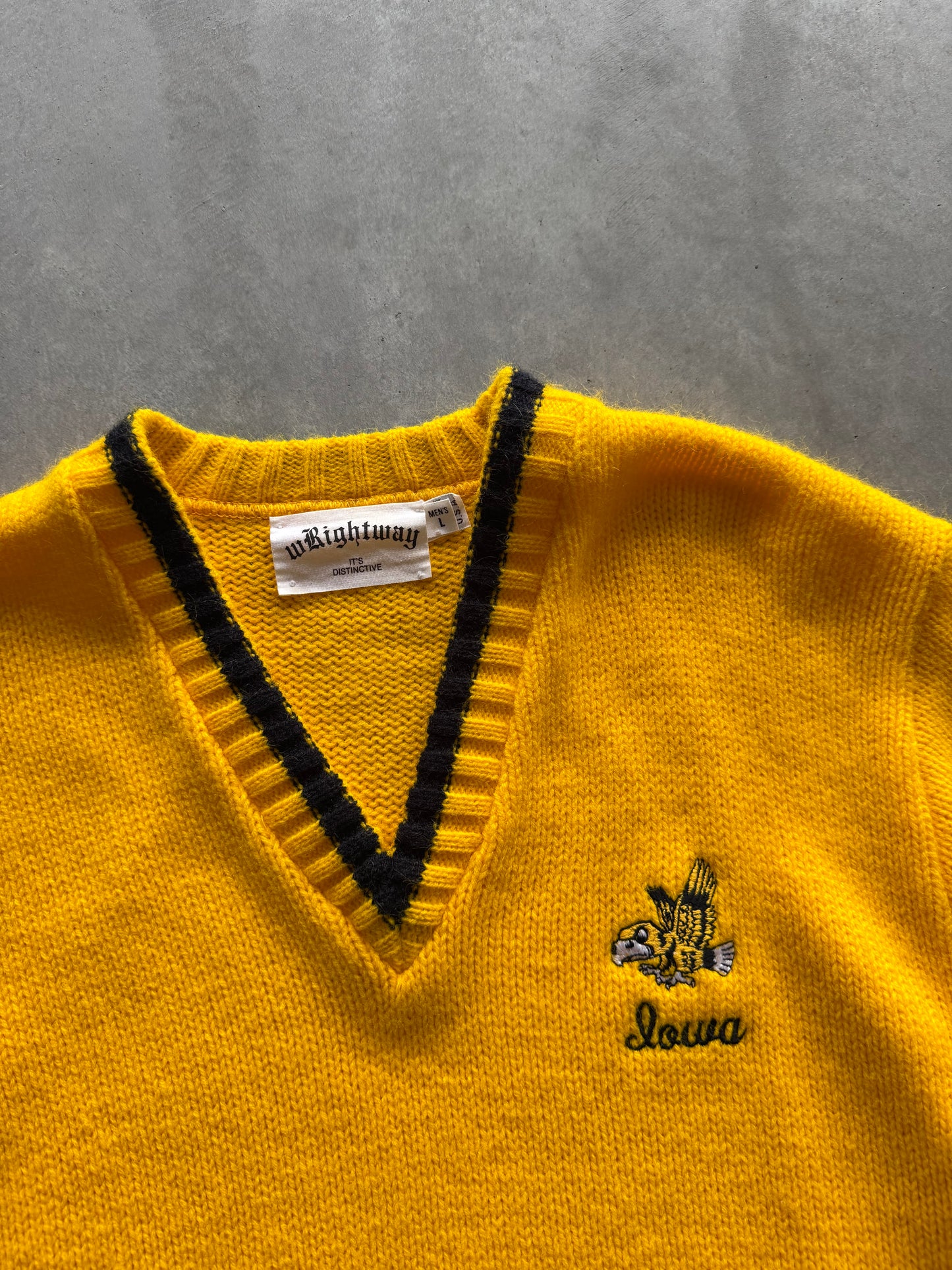 Vintage 80s Iowa Hawkeyes Sweater - L