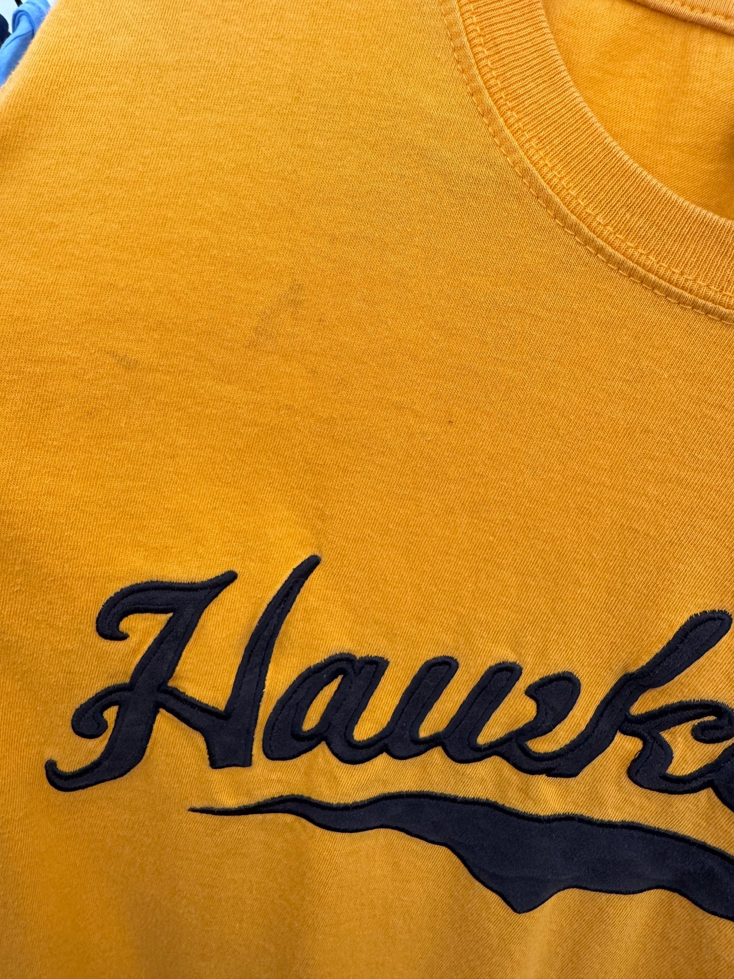 Vintage Iowa Hawkeyes Long Sleeve - XL