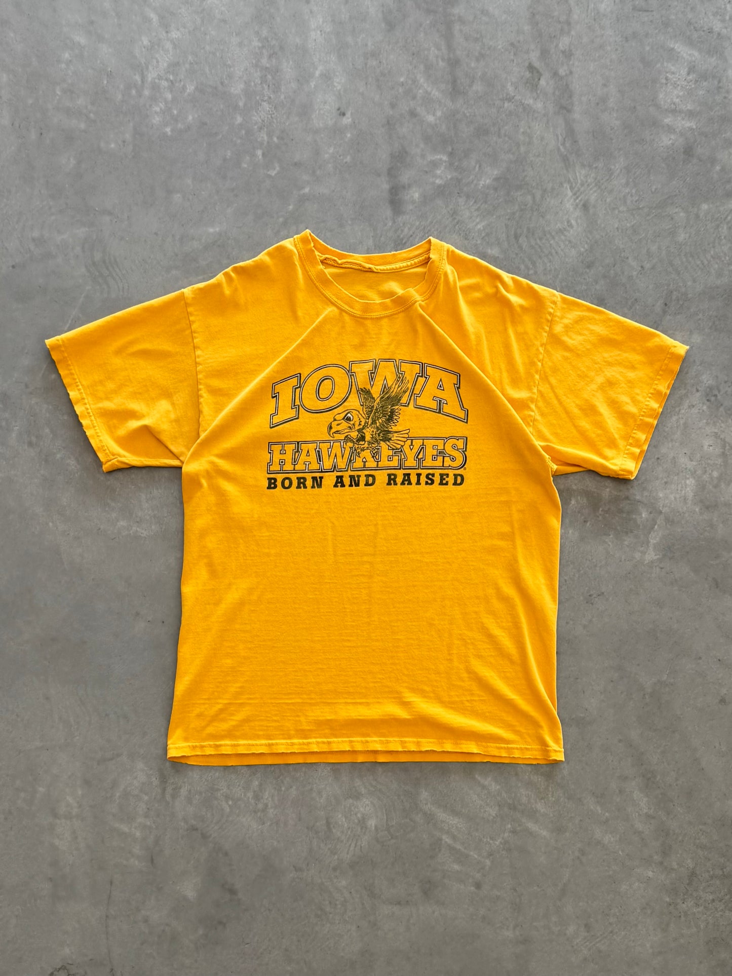 Vintage Iowa Hawkeye Tee - L