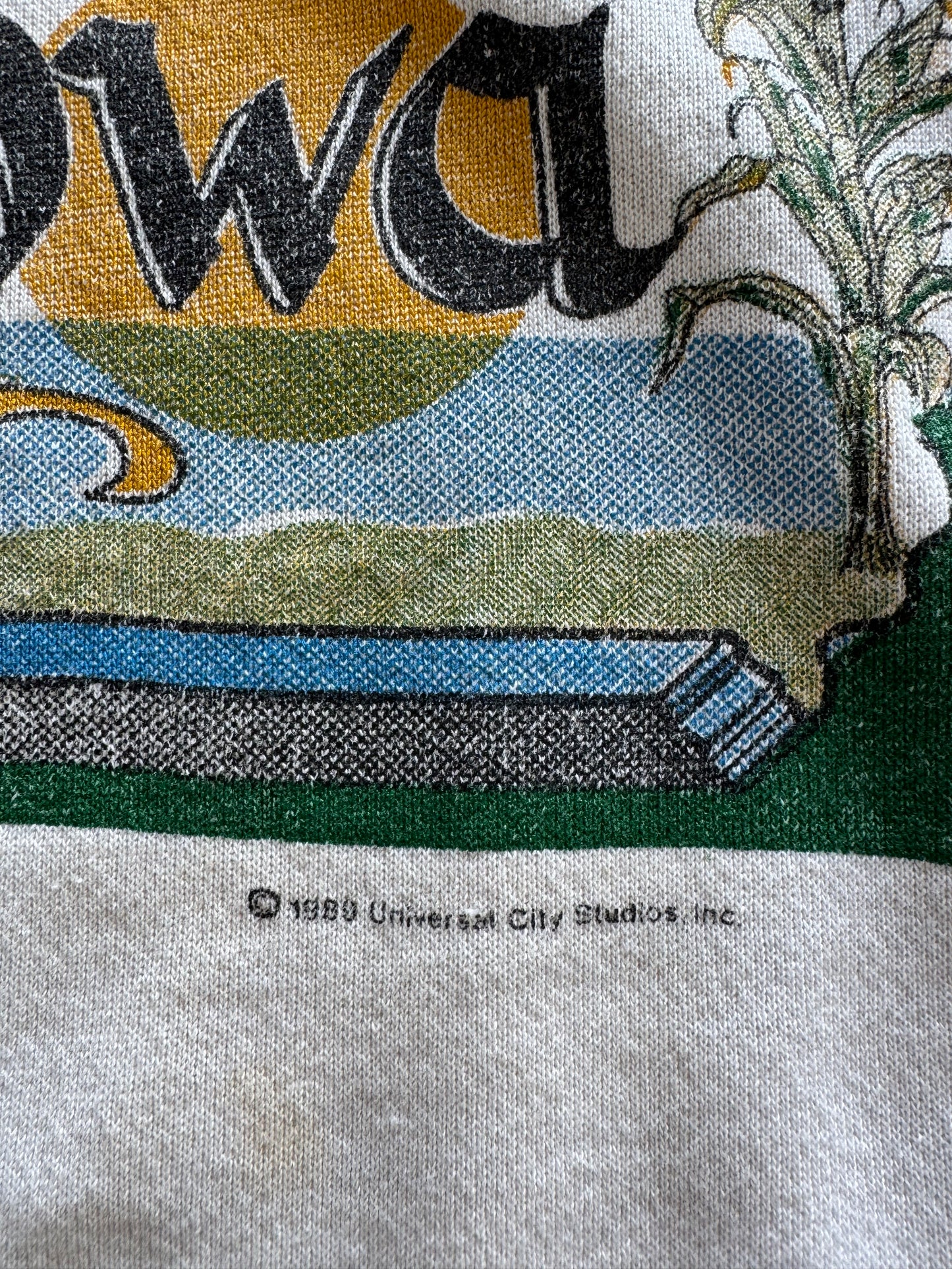 Vintage 1980s Is This Heaven No It’s Iowa Sweatshirt - M
