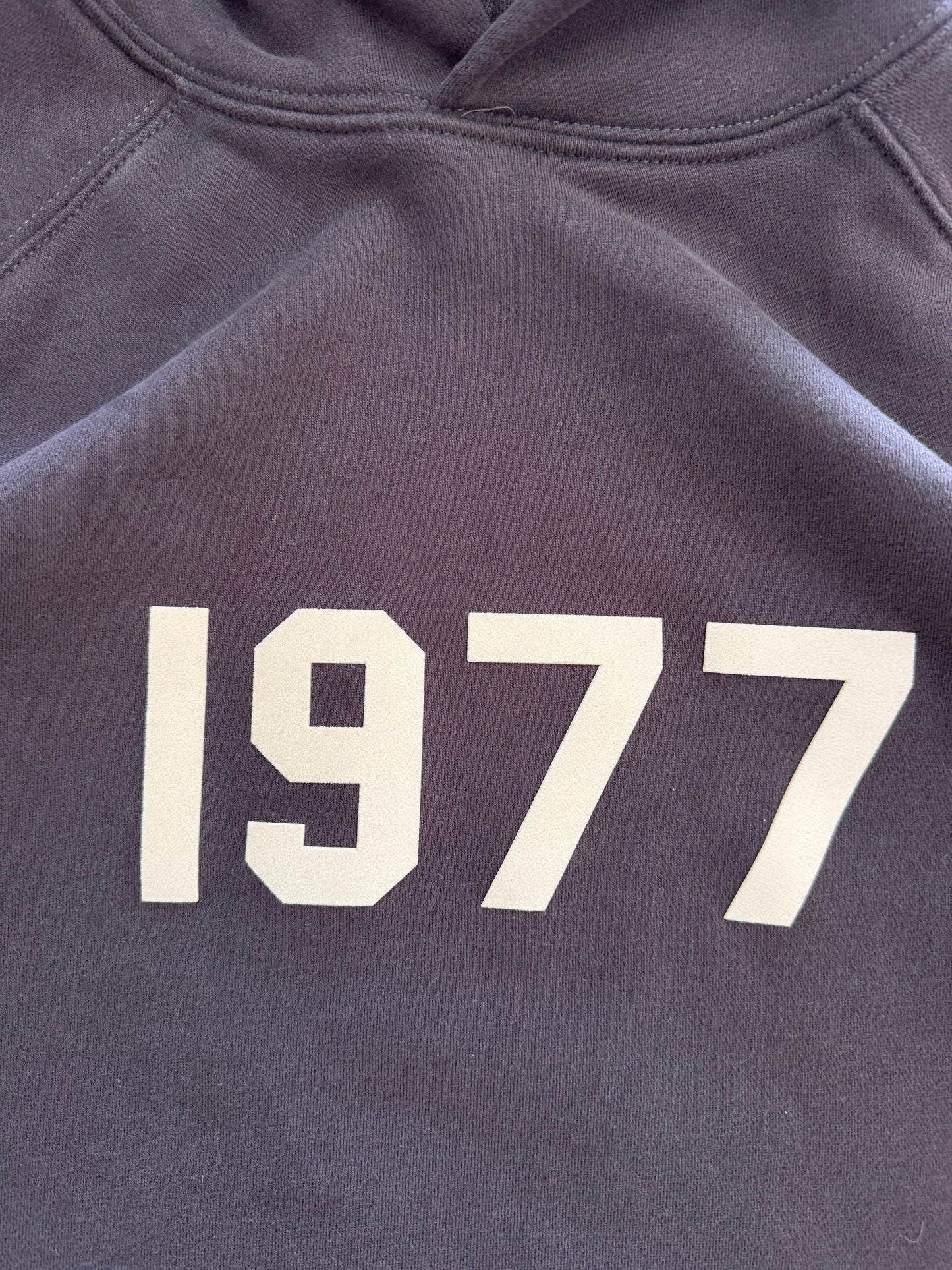 1977 Essentials Hoodie New With Tags - S