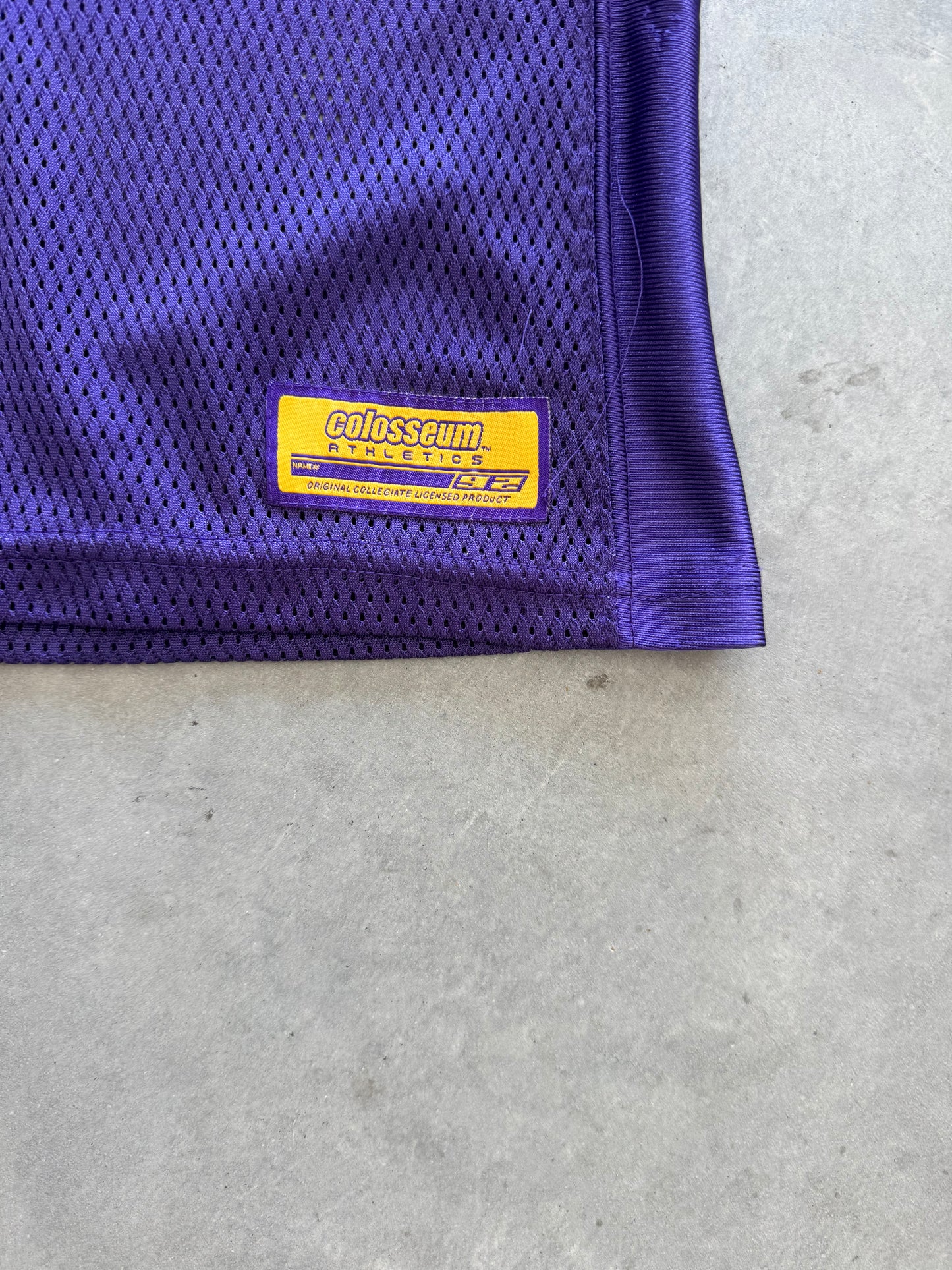 Vintage UNI Panthers Women’s Jersey - XL