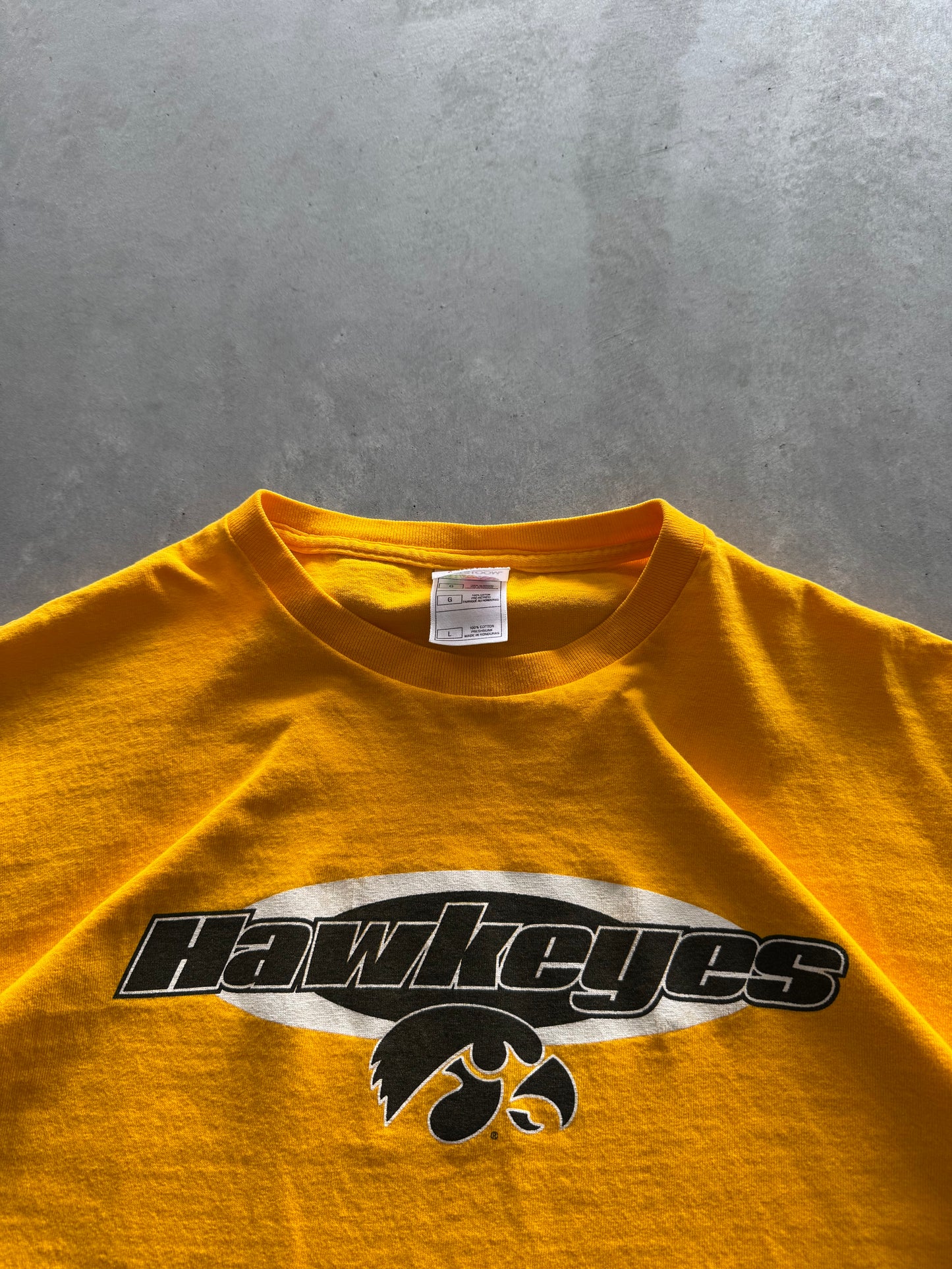 Vintage Iowa Hawkeyes Tee - L