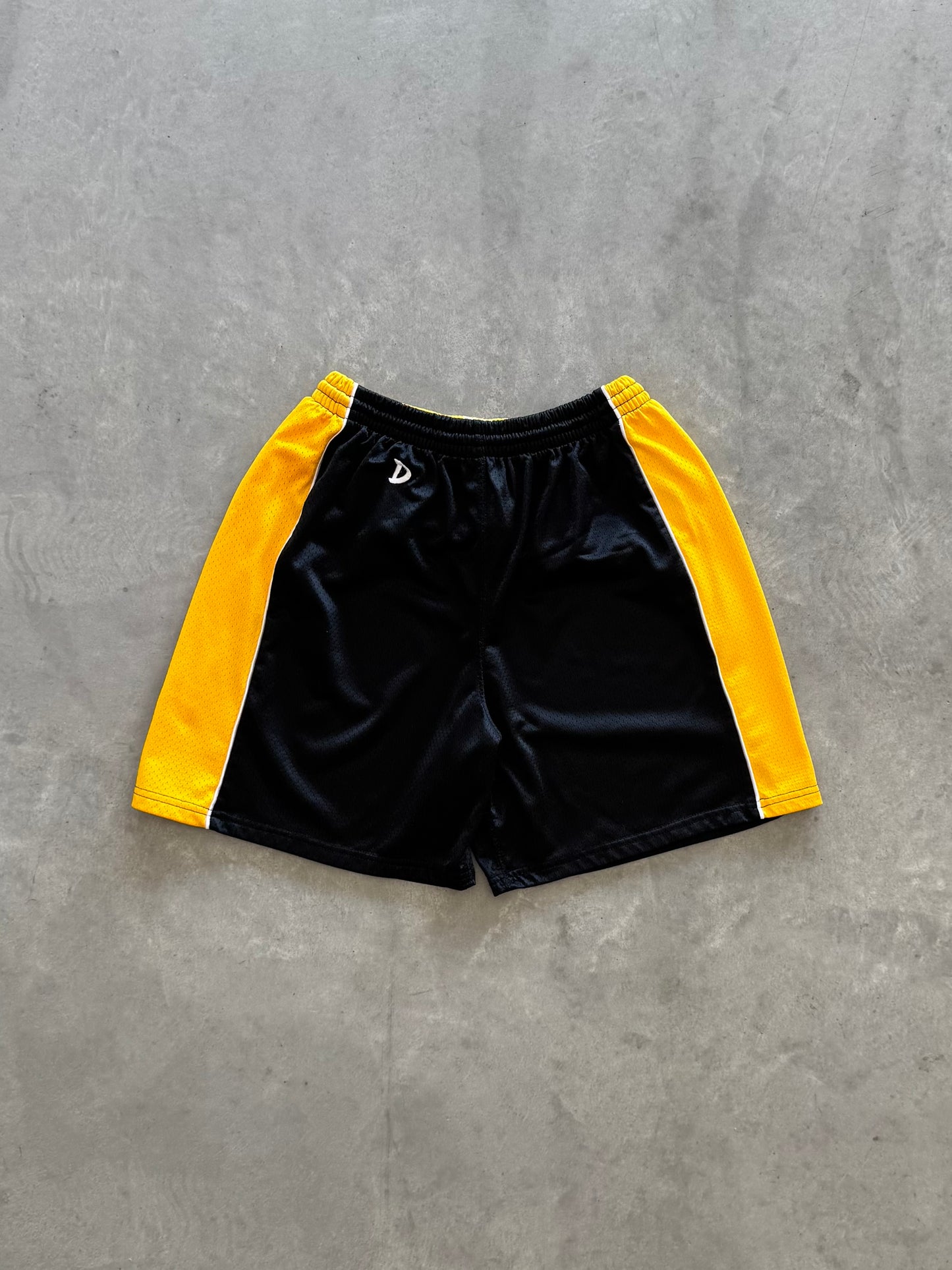 Vintage Iowa Hawkeyes Women’s Shorts - L