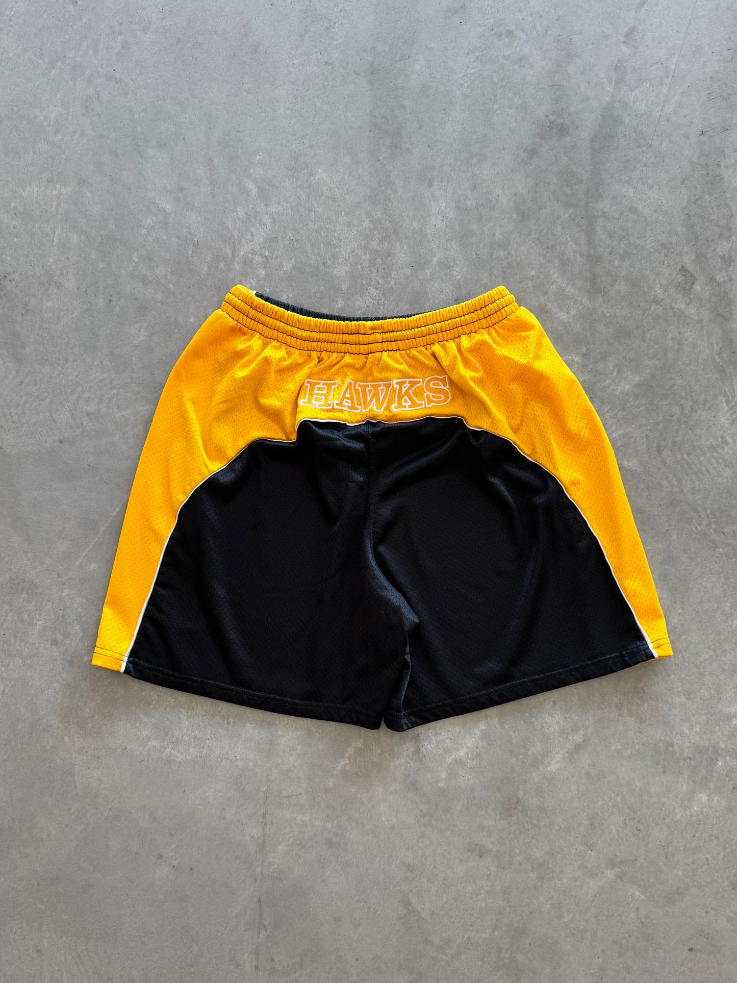 Vintage Iowa Hawkeyes Women’s Shorts - L