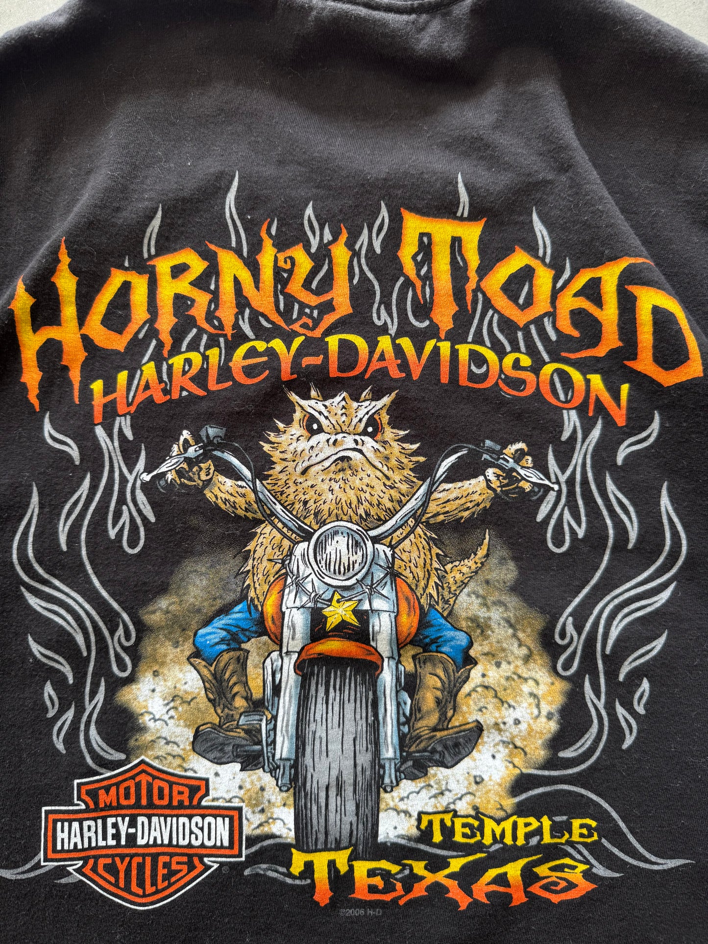 Harley Davidson Horny Toad Tee - XL