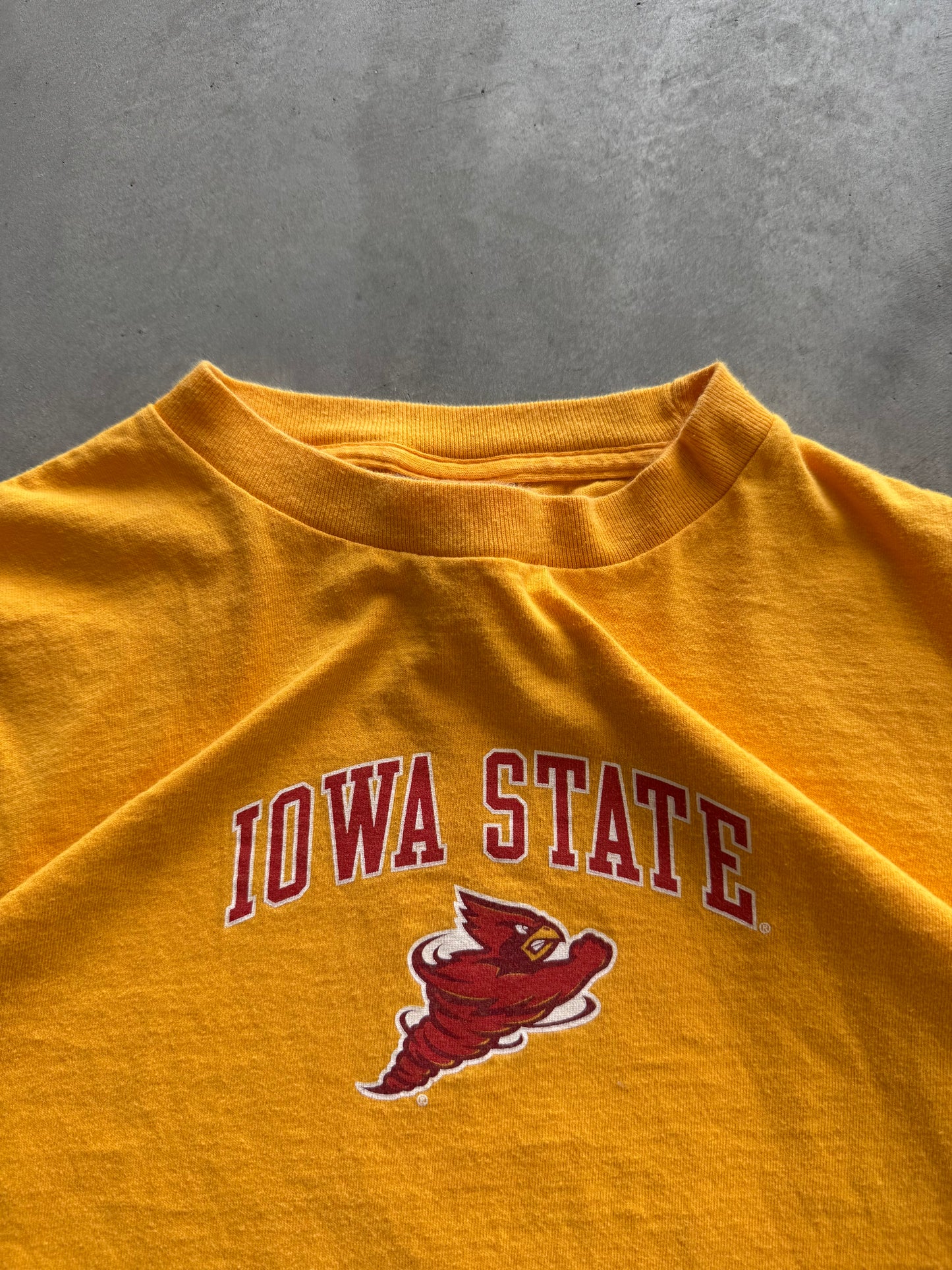 Vintage Iowa State Cyclones Champion Long Sleeve - XL