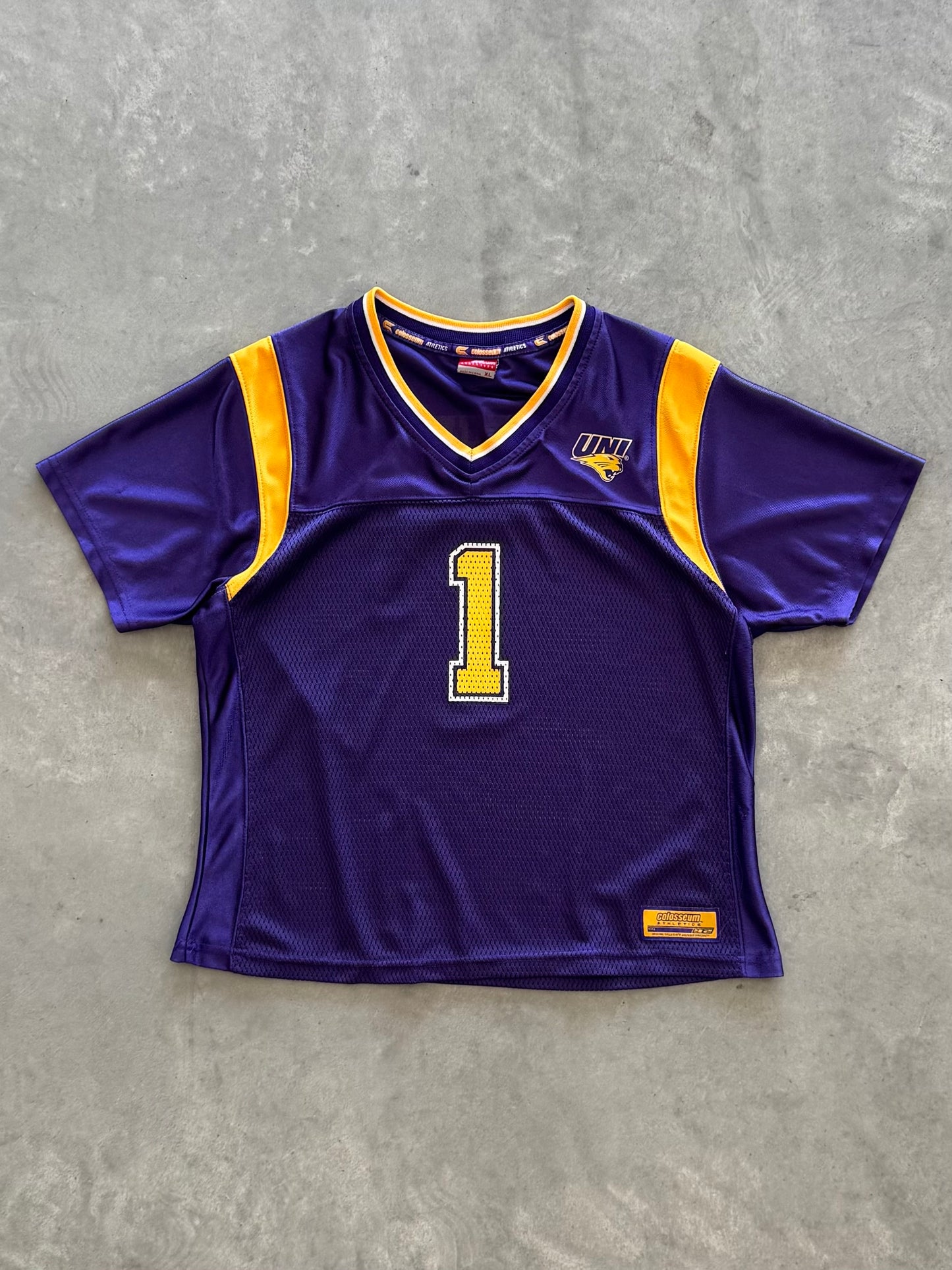 Vintage UNI Panthers Women’s Jersey - XL