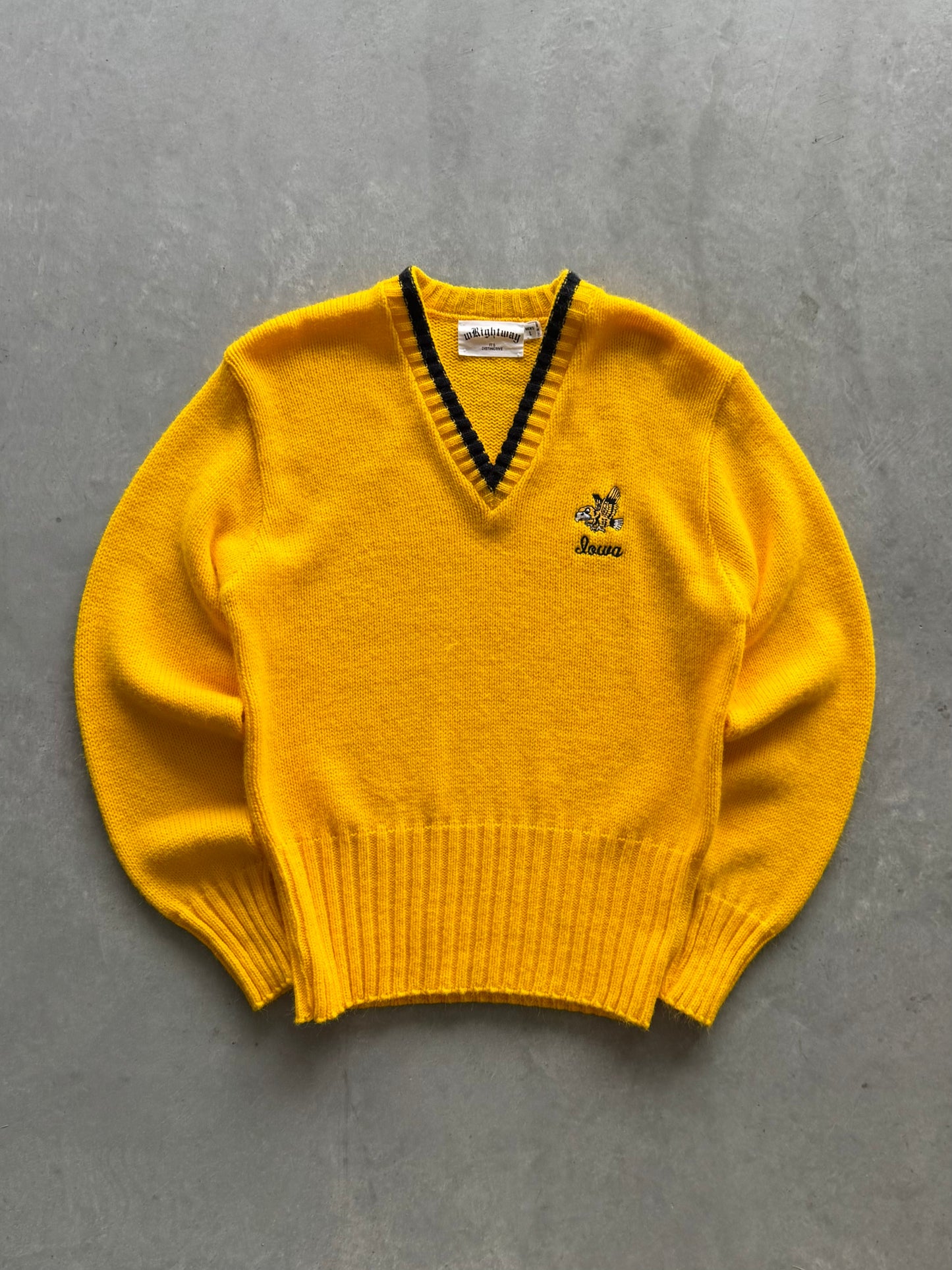 Vintage 80s Iowa Hawkeyes Sweater - L
