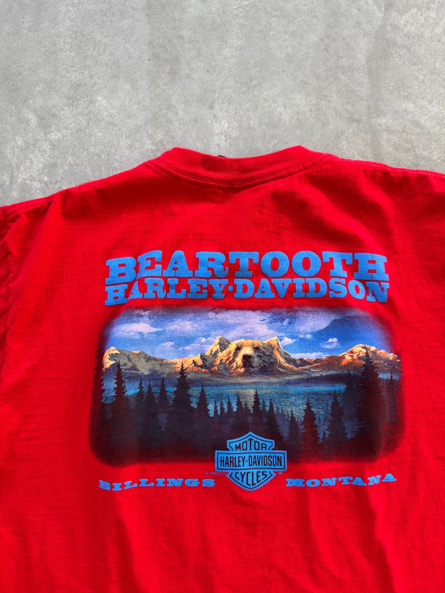 Vintage 2000 Harley Davidson Tee - XL