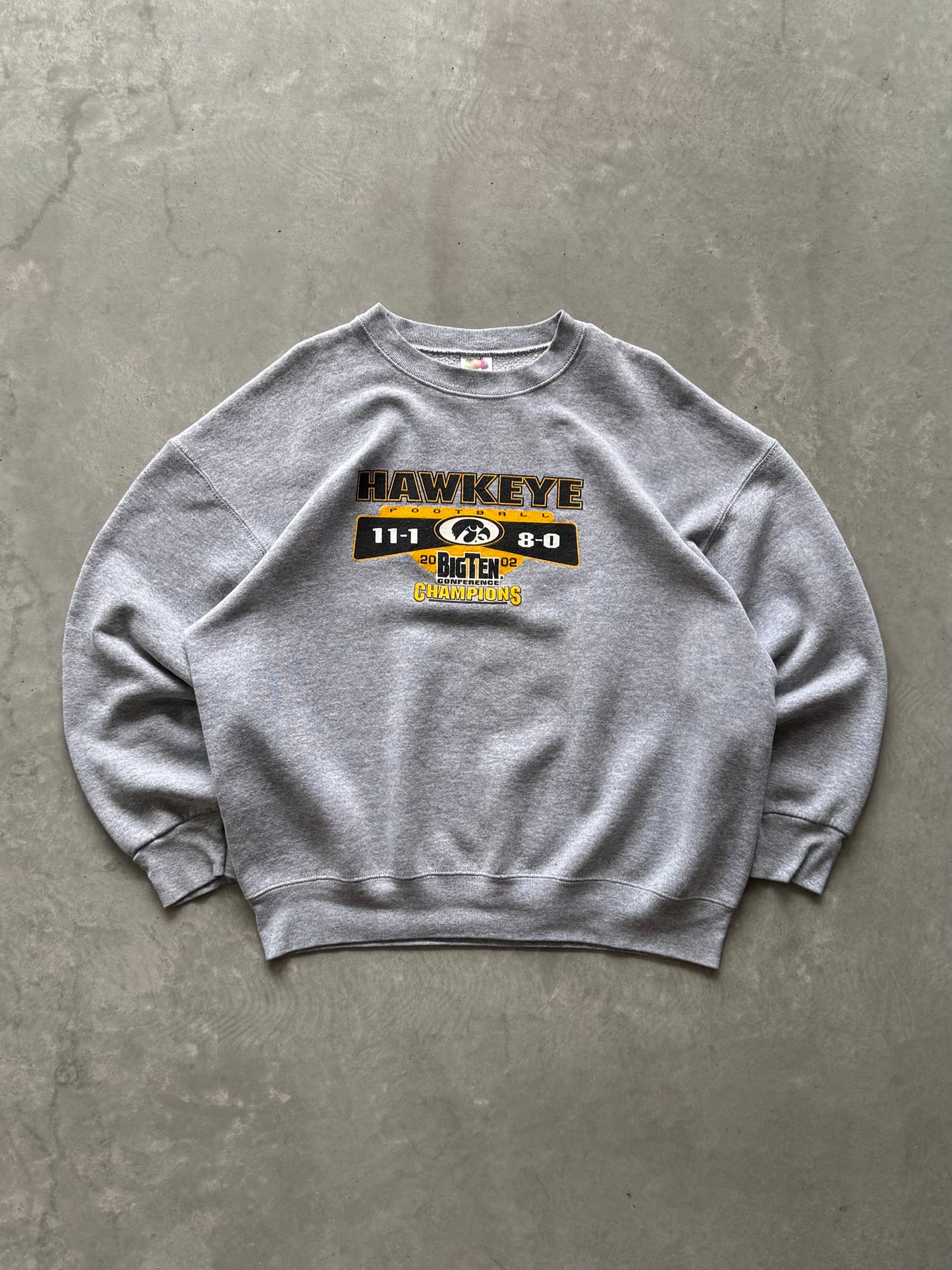 Vintage 00s Iowa Hawkeyes Big Ten Champions Sweatshirt - XXL