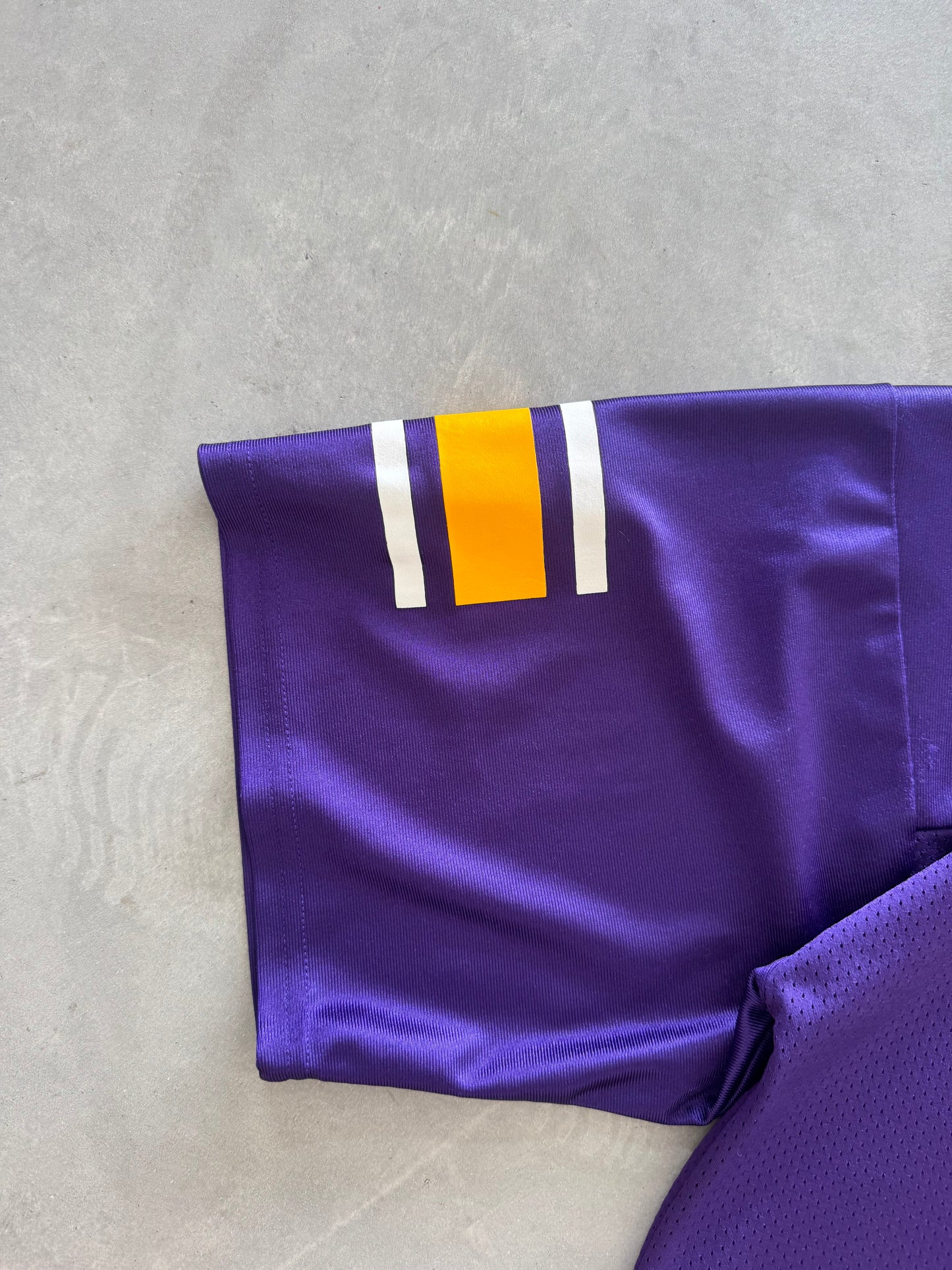 Vintage UNI Panthers Russell Jersey - L
