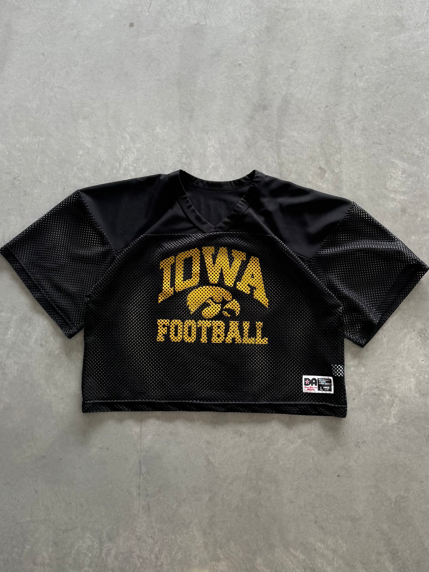 Vintage Iowa Hawkeyes Cropped Mesh Jersey - L