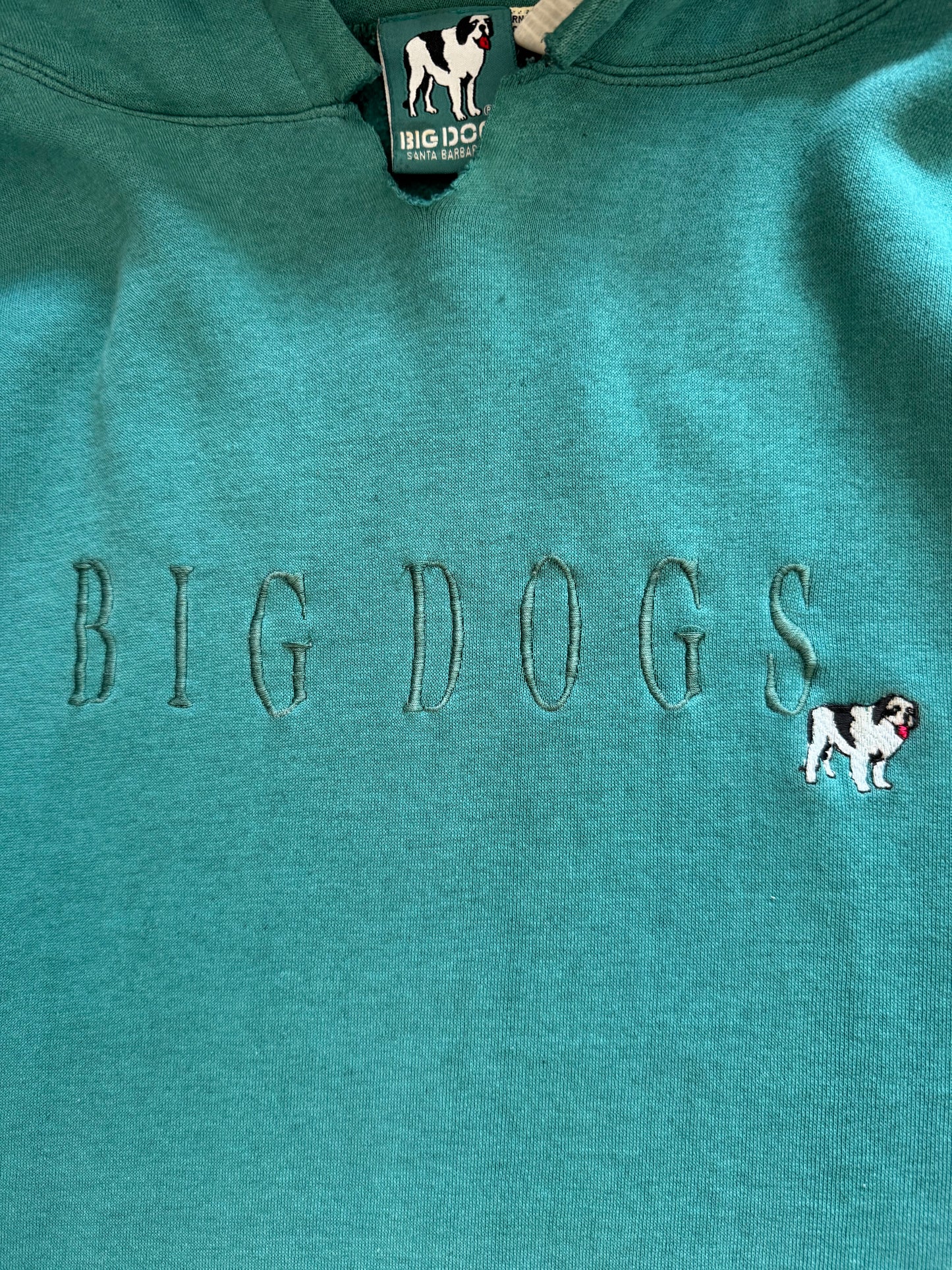 Vintage 90s Big Dogs Hoodie - XL