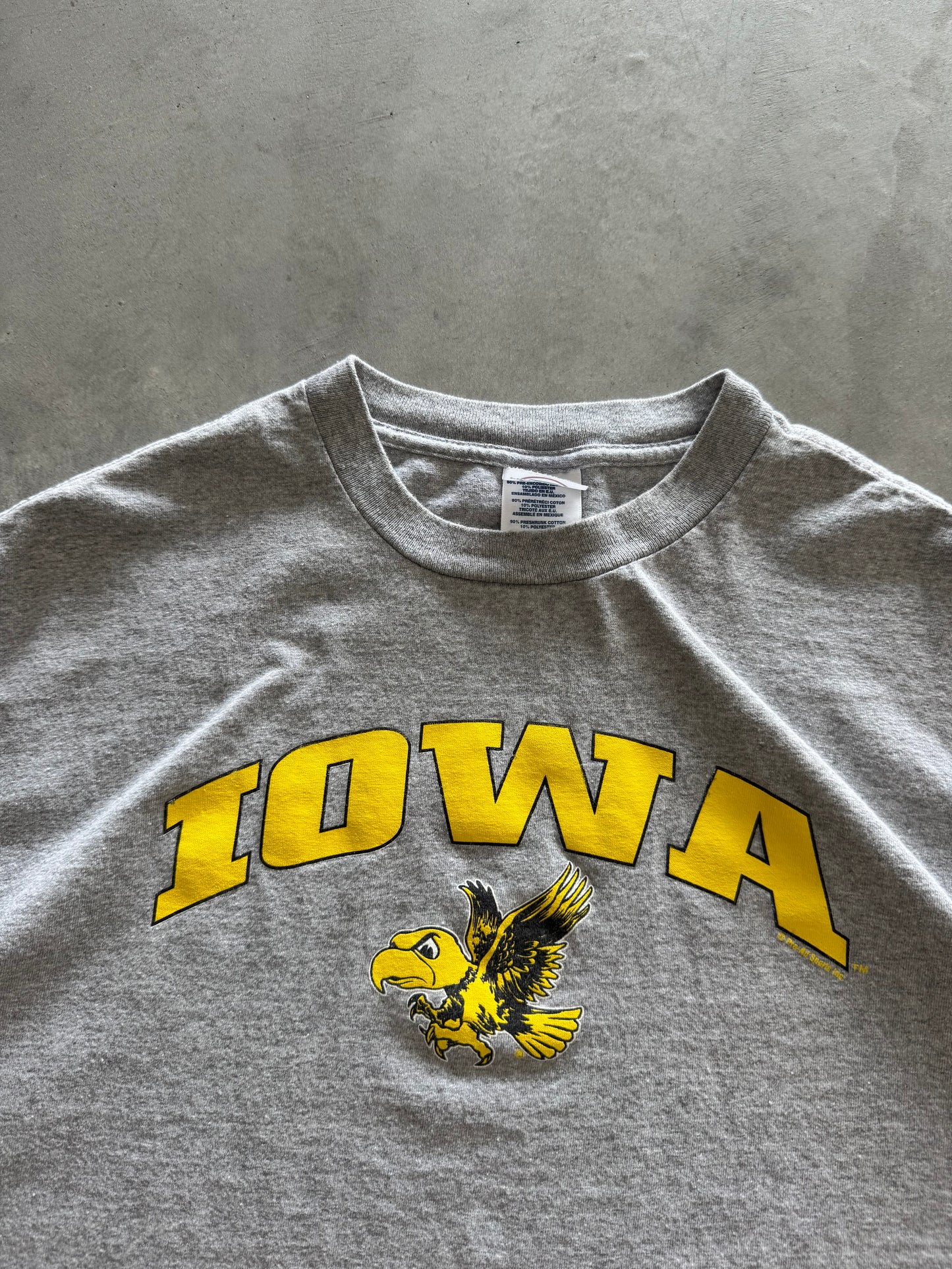 Vintage 00s Iowa Hawkeyes Tee - L