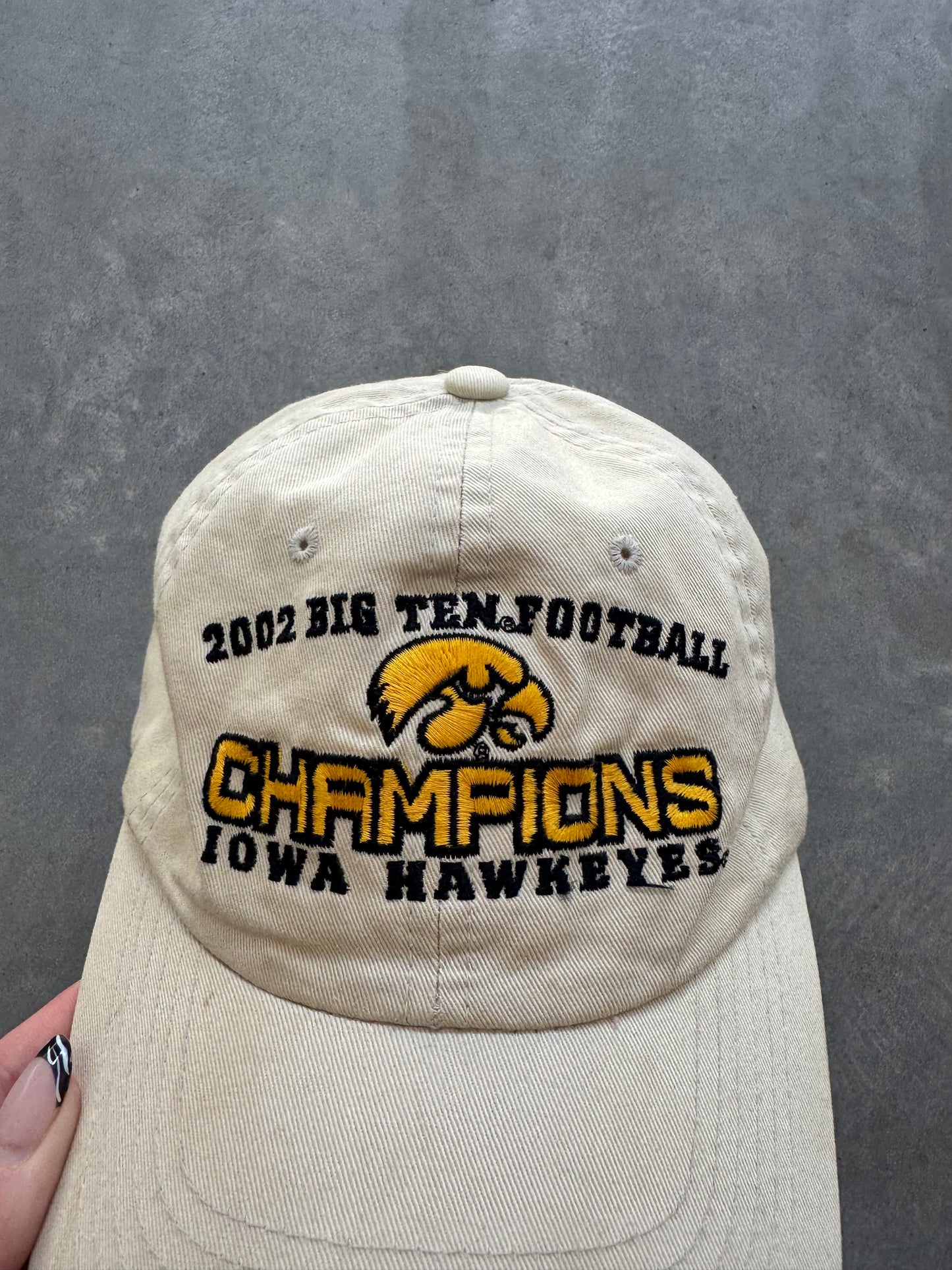 Vintage Iowa Hawkeyes Big Ten Champions