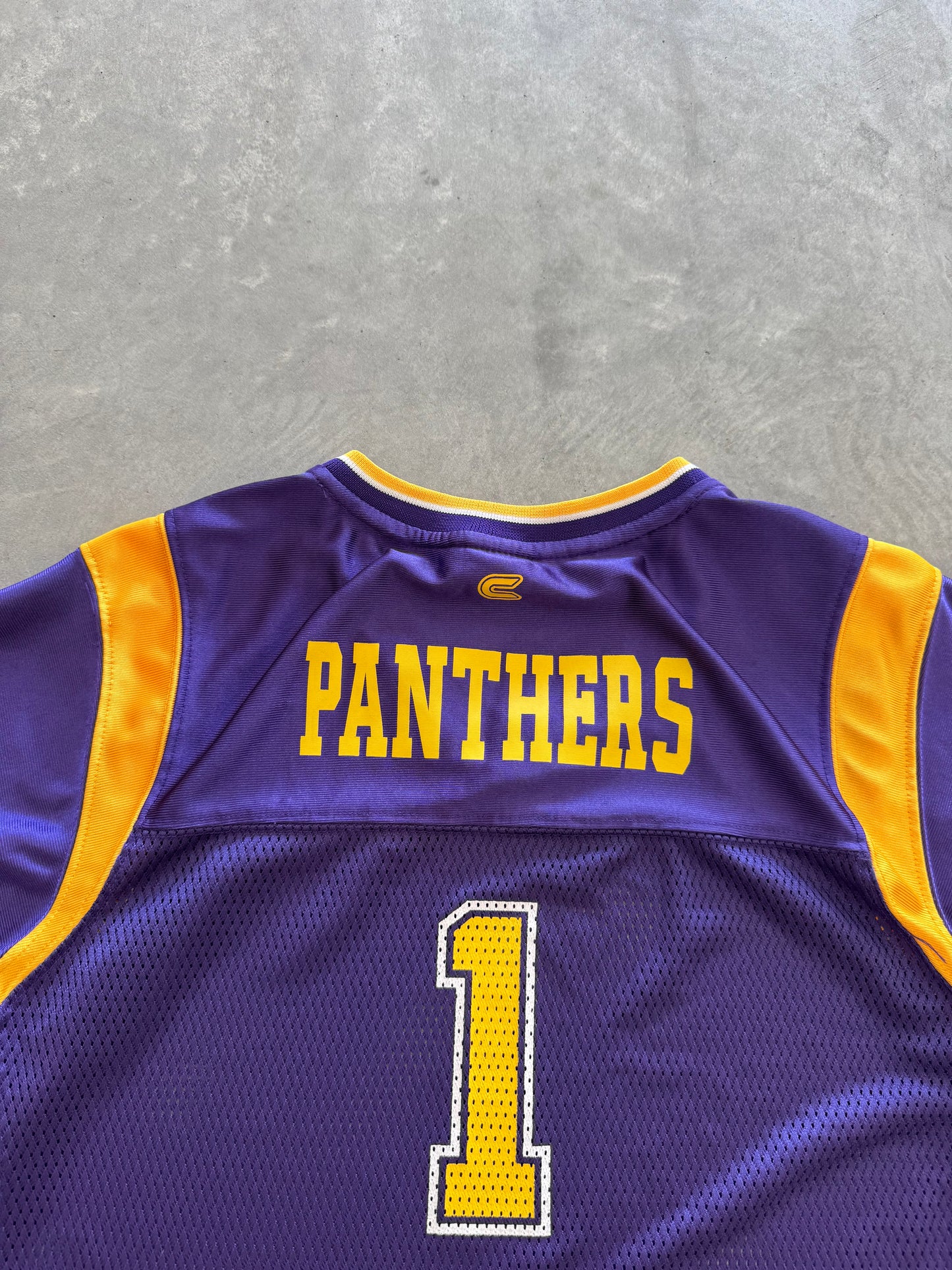 Vintage UNI Panthers Women’s Jersey - XL