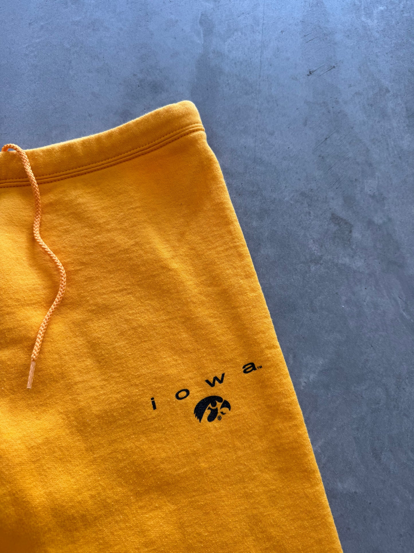 Vintage Iowa Hawkeyes Sweatpants - M