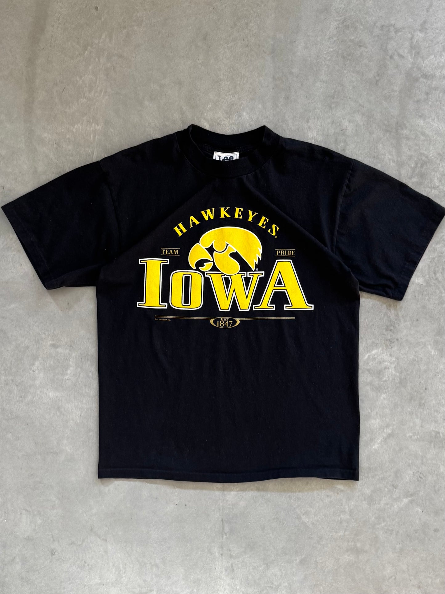 Vintage Iowa Hawkeyes Tee - L