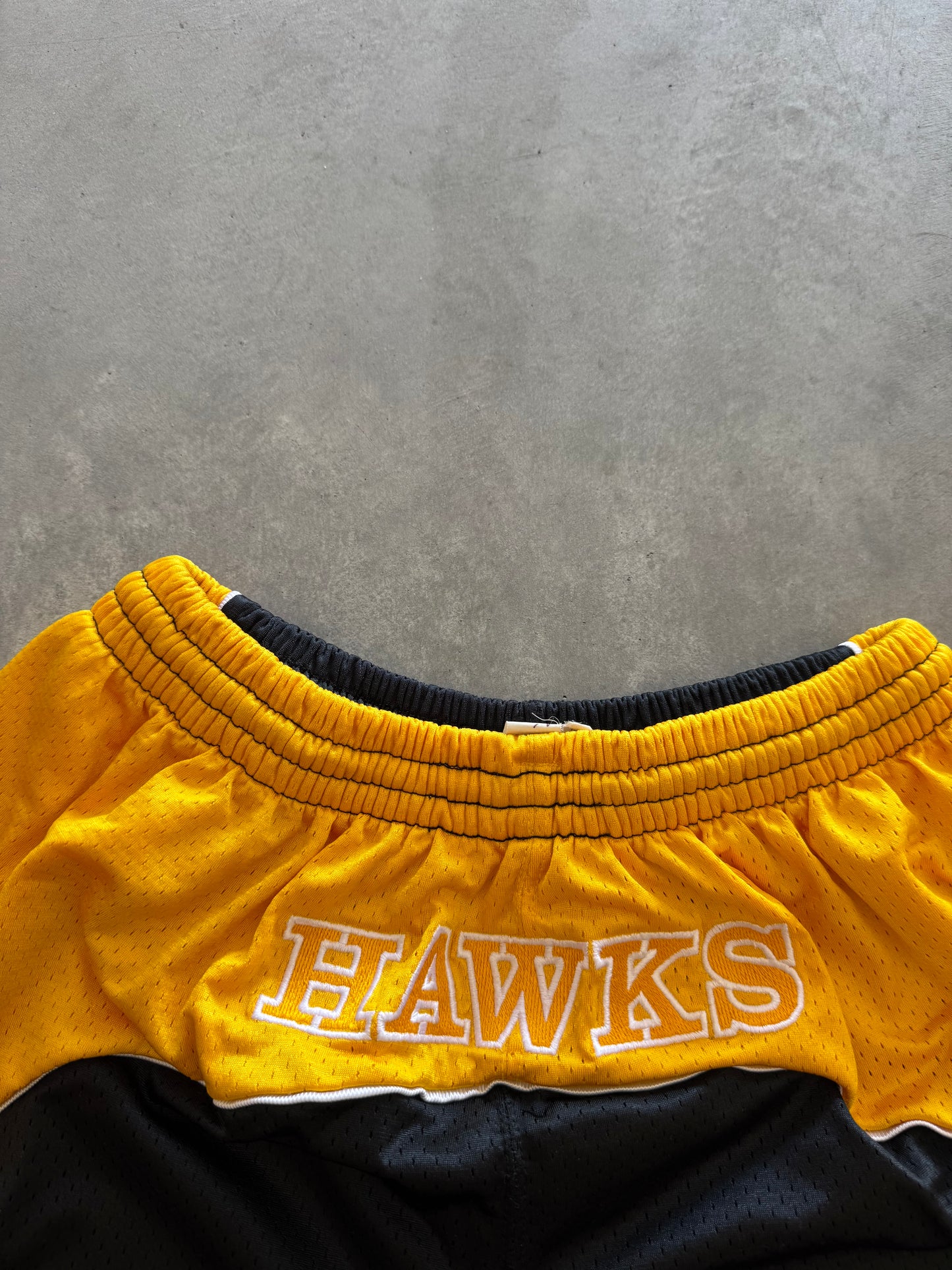 Vintage Iowa Hawkeyes Women’s Shorts - L