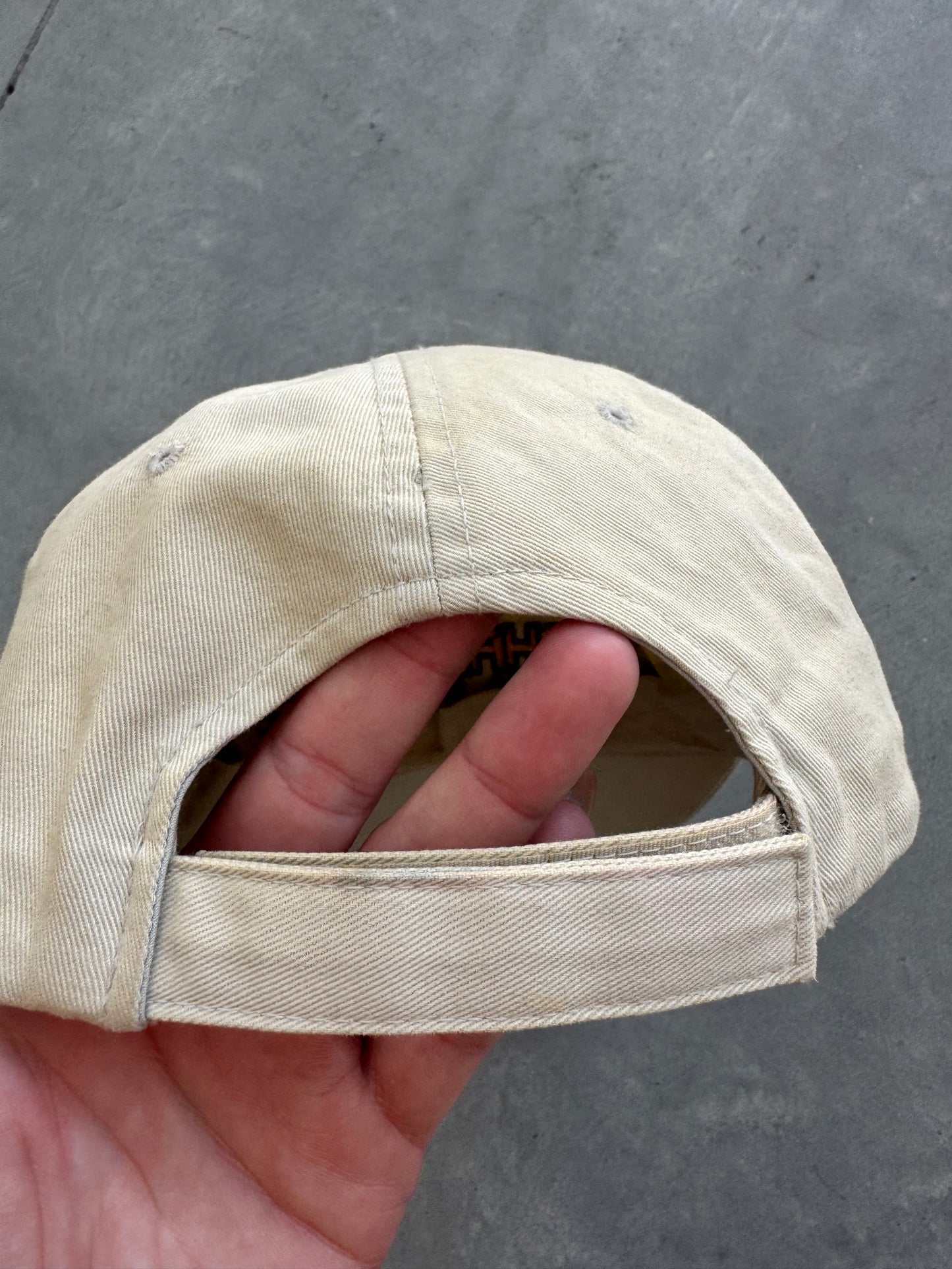 Vintage Iowa Hawkeyes Big Ten Champions