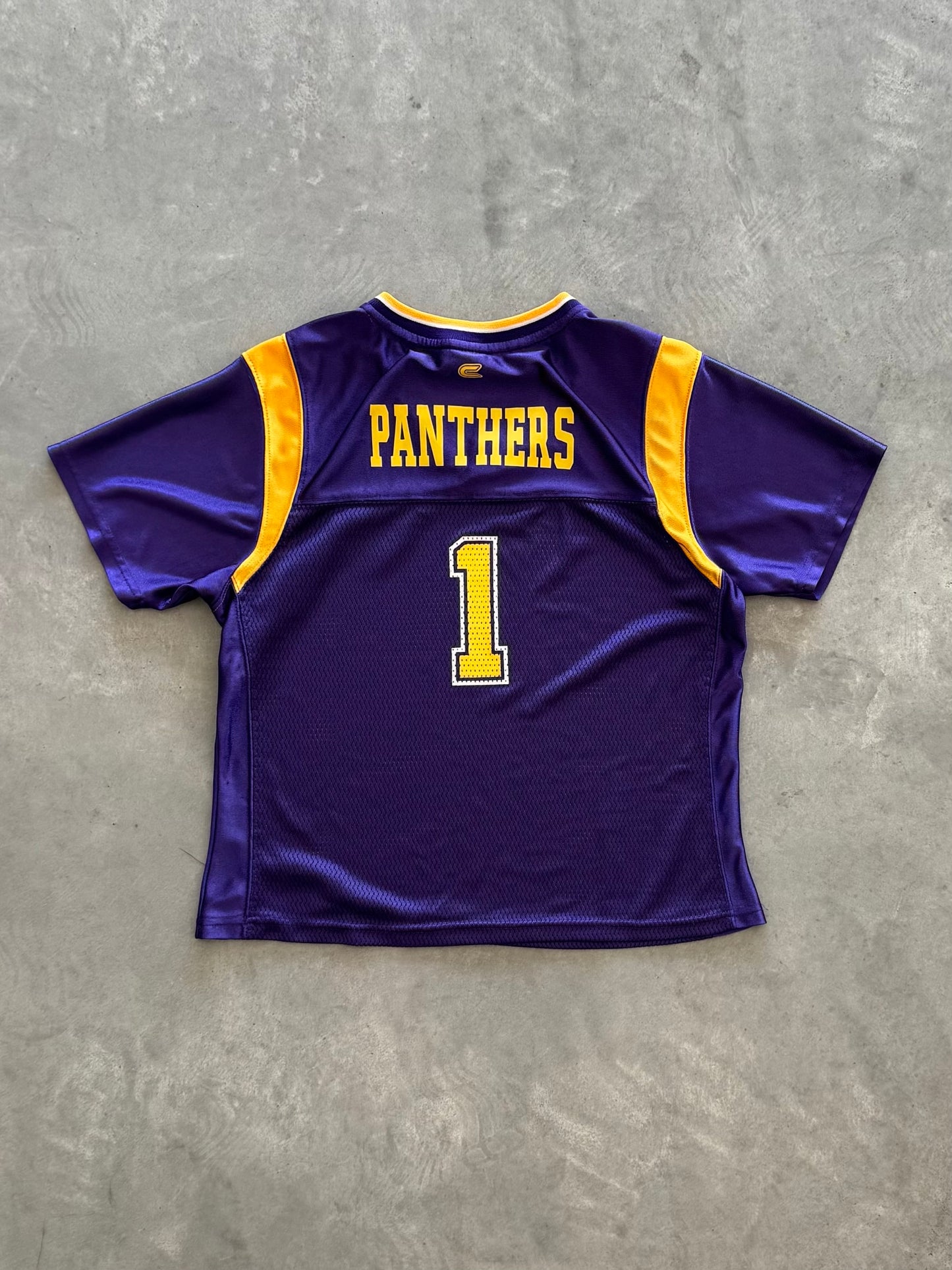 Vintage UNI Panthers Women’s Jersey - XL